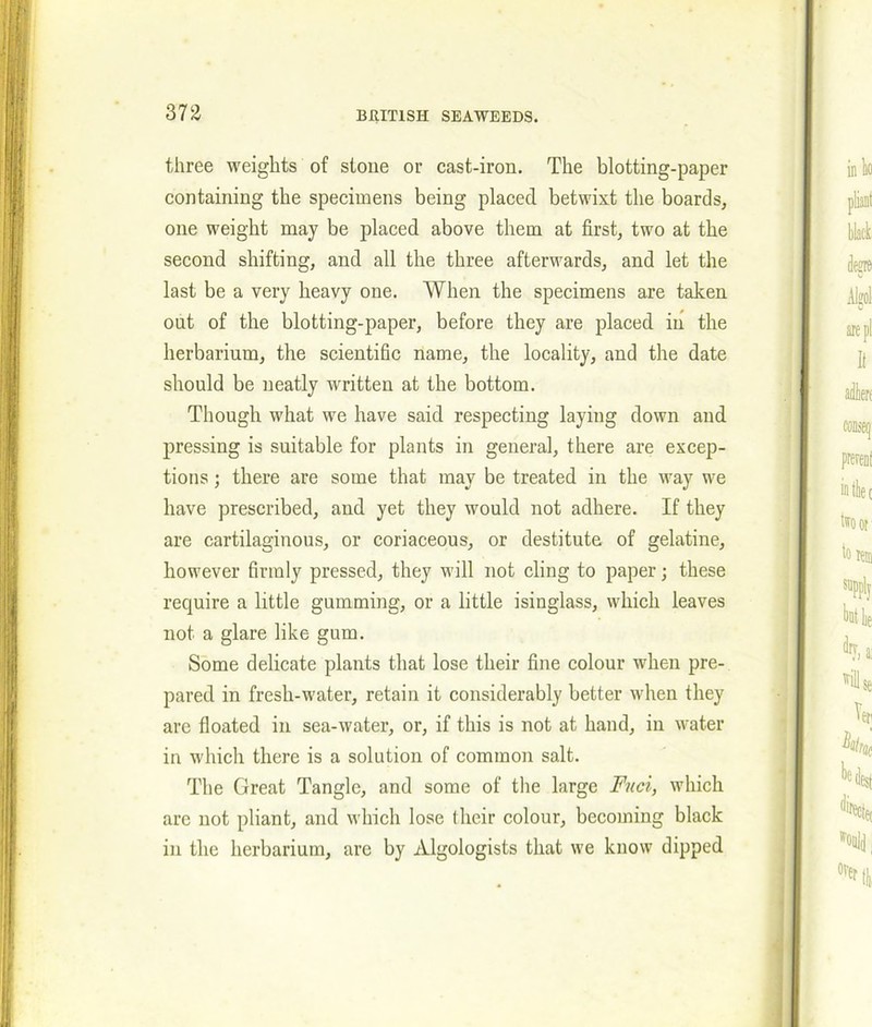 three weights of stone or cast-iron. The blotting-paper containing the specimens being placed betwixt the boards, one weight may be placed above them at first, two at the second shifting, and all the three afterwards, and let the last be a very heavy one. When the specimens are taken out of the blotting-paper, before they are placed in the herbarium, the scientific name, the locality, and the date should be neatly written at the bottom. Though what we have said respecting laying down and pressing is suitable for plants in general, there are excep- tions ; there are some that may be treated in the way we have prescribed, and yet they would not adhere. If they are cartilaginous, or coriaceous, or destitute of gelatine, however firmly pressed, they will not cling to paper; these require a little gumming, or a little isinglass, which leaves not a glare like gum. Some delicate plants that lose their fine colour when pre- pared in fresh-water, retain it considerably better when they are floated in sea-water, or, if this is not at hand, in water in which there is a solution of common salt. The Great Tangle, and some of the large Fuci, which are not pliant, and which lose their colour, becoming black in the herbarium, are by Algologists that we know dipped