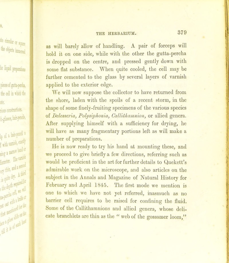 as will barely allow of handling. A pair of forceps will hold it on one side, while with the other the gutta-percha is dropped on the centre, and pressed gently down with some flat substance. When quite cooled, the cell may be further cemented to the glass by several layers of varnish applied to the exterior edge. We will now suppose the collector to have returned from the shore, laden with the spoils of a recent storm, in the shape of some finely-fruiting specimens of the various species of Jjelesseria, Polysiphonia, Callithamnion, or allied genera. After supplying himself with a sufficiency for drying, he will have as many fragmentary portions left as will make a number of preparations. He is now ready to try his hand at mounting these, and we proceed to give briefly a few directions, referring such as would be proficient in the art for further details to Quekett’s admirable work on the microscope, and also articles on the subject in the Annals and Magazine of Natural History for February and April 1845. The first mode we mention is one to which we have not yet referred, inasmuch as no barrier cell requires to be raised for confining the fluid. Some of the Callithamnions and allied genera, whose deli- cate branchlets arc thin as the “ web of the gossamer loom,”