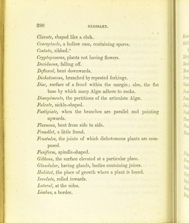 Clavate, shaped like a club. Conceptacle, a hollow case, containing spores. Costate, ribbed.* Cryptogamous, plants not having flowers. Deciduous, falling off. Deflexed, bent downwards. Dichotomous, branched by repeated forkings. Disc, surface of a frond within the margin; also, the flat base by which many Algse adhere to rocks. Dissepiments, the partitions of the articulate Algae. Falcate, sickle-shaped. Fastigiate, when the branches are parallel and pointing upwards. Flexuous, bent from side to side. Frondlet, a little frond. Frustules, the joints of which dichotomous plants are com- posed. Fusiform, spindle-shaped. Gibbous, the surface elevated at a particular place. Glandular, having glands, bodies containing juices. Habitat, the place of growth where a plant is found. Involute, rolled inwards. Lateral, at the sides. Limbus, a border.