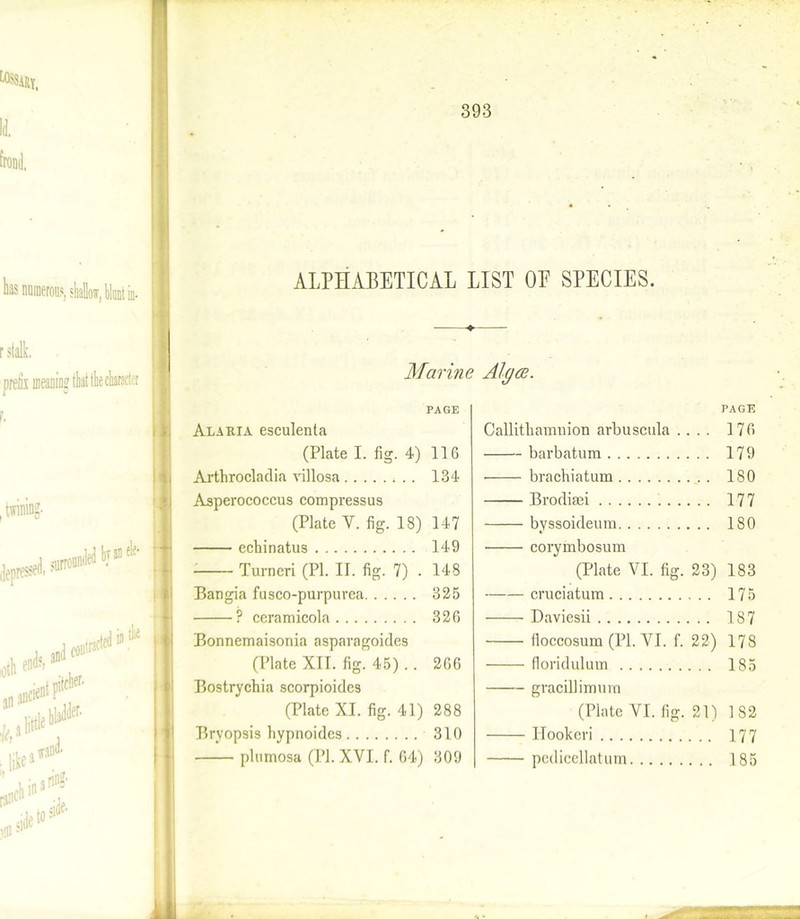 ALPHABETICAL LIST OE SPECIES. has numerous, limit in- -4- r stalk. prefix meaning that the dimeter (twining' Marine Algae. PAGE Alaria esculenta (Plate I. fig. 4) 116 Arthrocladia villosa 134 Asperococcus compressus (Plate Y. fig. 18) 147 echinatus 149 Turneri (PI. II. fig. 7) . 148 Bangia fusco-purpurea 325 ? ceramicola 326 Bonnemaisonia asparagoides (Plate XII. fig. 45) . . 266 Bostrychia scorpioides (Plate XI. fig. 41) 288 Bryopsis hypnoides 310 plumosa (PI. XVI. f. 64) 309 PAGE Cainthamnion arbuscula .... 176 barbatum 179 brachiatum . 180 Brodisei 177 byssoideum 180 corymbosum (Plate VI. fig. 23) 183 cruciatum 175 Daviesii 187 floccosum (PI. VI. f. 22) 178 floridulum 185 gracillimurn (Plate VI. fig. 21) 1 82 Hookeri 177 pedicellatum 185