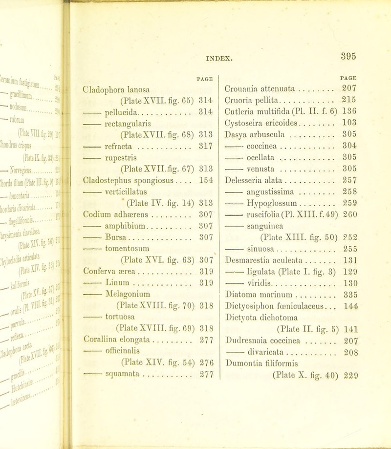 2ttj . to to '— rubrum (Plate Tm.fijJS) llj Jhondrus erispus (Plate II fig. 33) ::j — Norvems lit I — /omenfaria. ' l hordaria diraricata flagelliforicis..- ikamenia (Plated 58)^|t' . kalifor®13 ,-jj-lil ^parvuia- ... j .rtfietf-' jute PAGE Cladophora lanosa (Plate XVII. fig. 65) 314 pellucida 314 rectangularis (PlateXVII. fig. 68) 313 refracta 317 rupestris (Plate XVII.fig. 67) 313 Cladostephus spongiosus.... 154 • verticillatus (Plate IV. fig. 14) 313 Codium adhaerens 307 amphibium 307 Bursa 307 tomentosum (Plate XVI. fig. 63) 307 Conferva serea 319 Linura 319 Melagonium (Plate XVIII. fig. 70) 318 tortuosa (Plate XVIII. fig. 69) 318 Corallina elongata 277 officinalis (Plate XIV. fig. 54) 276 srjuamata 277 PAGE Cronania attenuata 207 Cruoria pellita 215 Cutleria multifida (PI. II. f. 6) 136 Cystoseira ericoides 103 Dasya arbuscula 305 coccinea 304 ocellata 305 venusta 305 Delesseria alata 257 angustissima 258 Hypoglossum 259 ruscifolia(PI. XIII. f.49) 260 sanguinea (Plate XIII. fig. 50) 252 sinuosa . . 255 Desmarestia aculeata .. 131 ligulata (Plate I. fig. 3) 129 viridis . . 130 Diatoma marinum .. 335 Dictyosipfion fceniculaceus. .. 144 Dictyota dichotoma (Plate II. fig, , 5) 141 Dudresnaia coccinea .. 207 divaricata . . 208 Dumontia filiformis (Plate X. fig. 40) 229
