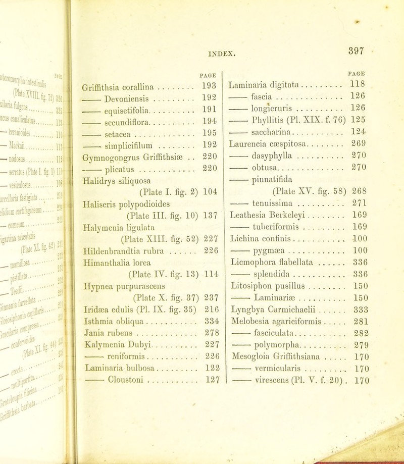ifcli* “I (Plate XYHI. fyli) 32S 335 xilaria fulgens ucus canalieulatu! — teranioides ^ — Mackaii Ill — nodosus Ill — serrate (Plate .fell 111 — resiculosu? W iirceUaria fastigiata....... 21! eJidiam cartiisginenm 4;)] — coraeum ‘ PAGE Griffithsia corallina 193 Devoniensis 192 ■ equisetifolia 191 secundiflora 194 setacea 195 simplicifilum 192 Gymnogongrus Griffithsise . . 220 plicatus 220 Halidrys siliquosa (Plate I. fig. 2) 104 Haliseris polypodioides (Plate III. fig. 10) 137 Halymenia ligulata (Plate XIII. fig. 52) 227 Hildenbrandtia rubra 226 Himanthalia lorea (Plate IY. fig. 13) 114 Hypnea purpurascens (Plate X. fig. 37) 237 Iridaaa edulis (PI. IX. fig. 35) 216 Isthmia obliqua 334 Jania rubens 278 Kalymenia Dubyi 227 reniformis 226 Laminaria bulbosa 122 Cloustoni 127 PAGE Laminaria digitata 118 fascia 126 longicruris 126 Phyllitis (PI. XIX. f. 76) 125 saccharina 124 Laurencia cmspitosa 269 dasyphylla 270 obtusa 270 pinnatifida (Plate XY. fig. 58) 268 tenuissima 271 Leatbesia Berkeleyi 169 tuberiformis 169 Li china confinis 100 pygmasa 100 Licmophora flabellata 336 splendida 336 Litosipbon pusillus 150 Laminarise 150 Lyngbya Carmichaelii 333 Melobesia agariciformis 281 fasciculata 282 ■ polymorpha 279 Mesogloia Griffithsiana 170 vermicularis 170 virescens (PI. V. f. 20). 170