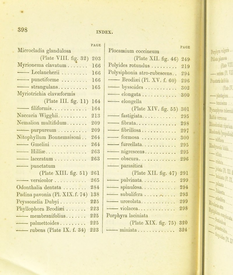 INDEX. Microcladia glandulosa (Plate VIII. ficv. 32) Myrionema clavatum • Leclancherii ■ punctifonne ■ strangulans Myriotrichia clavseformis (Plate III. fig. 11) filiformis Naccaria Wiggliii Nemalion multifidum purpureum Nitophyllum Bonnemaisoni. . • Gmelini Hillise laceratum • punctatum (Plate XIII. fig. 51) versicolor Odonthalia dentata Padina pavonia (PI. XIX. f. 74) Peyssonelia Dubyi Phyllophora Brodiaei membranifolius palmettoides rubens (Plate IX. f. 34) Plocamium coccineura (Plate XII. fig. 46) 249 Poly ides rotundus 219 Polysiphonia atro-rubescens.. 294 Brodiasi (PI. XV. f. 60) 296 byssoides 302 elongata 300 elongella (Plate XIV. fig. 55) 301 fastigiata 295 fibrata 298 fibrillosa 297 formosa 300 furcellata 295 nigrescens 295 obscura 296 parasitica (Plate XII. fig. 47) 291 pulvinata 299 spinulosa 294 subulifera 293 urceolata 299 violacea 298 Porphyra laciniata (Plate XIX. fig. 75) 320 miniata 324 PAGE 203 166 166 166 165 164 164 213 209 209 264 264 263 263 261 265 284 138 225 223 225 225 223