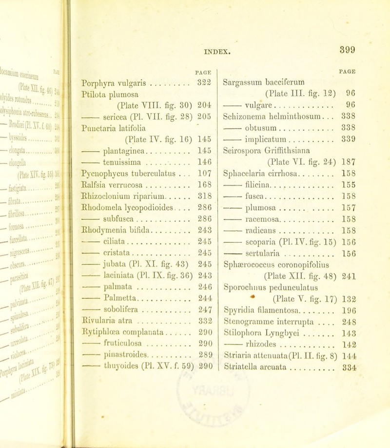 (P'ateXD. fig.46)nj olyides rotundas [ olvsiphonia atro-rubtscfni.. J Brodisi (PL XT. f. 60); | — byssoides at I ongata % — eloogelia (Plate XIV. fig. 65) 1 —fest^iafa s — iibrata * —fibrillosa ' furcelkta (Plate 'jj pulvioata • j# jj^oulosa. ‘ j; 40*’’'...* 19, PAGE Porphyra vulgaris 322 Ptilota plumosa (Plate VIII. fig. 30) 204 — sericea (PI. VII. fig. 28) 205 Pimctaria latifolia (Plate IV. fig. 16) 145 plantaginea 145 tenuissima 146 Pycnophycus tuberculatus ... 107 Ralfsia verrucosa 168 Rhizoclonium riparium 318 Rhodomela lycopodioides. . .. 286 subfusca 286 Rhodymenia bifida 243 ciliata 245 cristata 245 jubata (PI. XI. fig. 43) 245 —— laciniata (PI. IX. fig. 36) 243 palmata 246 Palmetta 244 sobolifera 247 Rivularia atra 332 Rytipbleea complanata 290 frutieulosa 290 pinastroides 289 thuyoides (PI. XV. f. 59) 290 PAGE Sargassum bacciferum (Plate III. fig. 12) 96 vulgare 96 Schizonema helmintliosuru. . . 338 obtusum 338 implicatum 339 Seirospora Griffithsiana (Plate VI. fig. 24) 187 Spliacelaria cirrliosa 158 filicina 155 fusca 158 plumosa 157 racemosa 158 radicans 158 scoparia (PI. IV. fig. 15) 156 sertularia 156 Sphserococcus coronopifolius (Plate XII. fig. 48) 241 Sporoclmus pedunculatus * (Plate V. fig. 17) 132 Spyridia filamentosa 196 Stenogramme interrupta .... 248 Stilophora Lyngbyei 143 rliizodes 142 Striaria attenuata(Pl. II. fig. 8) 144 Striatella arcuata 334