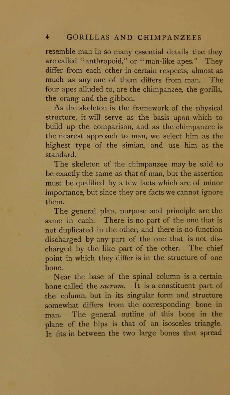 resemble man in so many essential details that they are called “anthropoid,” or “man-like apes.” They differ from each other in certain respects, almost as much as any one of them differs from man. The four apes alluded to, are the chimpanzee, the gorilla, the orang and the gibbon. As the skeleton is the framework of the physical structure, it will serve as the basis upon which to build up the comparison, and as the chimpanzee is the nearest approach to man, we select him as the highest type of the simian, and use him as the standard. The skeleton of the chimpanzee may be said to be exactly the same as that of man, but the assertion must be qualified by a few facts which are of minor importance, but since they are facts we cannot ignore them. The general plan, purpose and principle are the same in each. There is no part of the one that is not duplicated in the other, and there is no function discharged by any part of the one that is not dis- charged by the like part of the other. The chief point in which they differ is in the structure of one bone. Near the base of the spinal column is a certain bone called the sacrum. It is a constituent part of the column, but in its singular form and structure somewhat differs from the corresponding bone in man. The general outline of this bone in the plane of the hips is that of an isosceles triangle. It fits in between the two large bones that spread