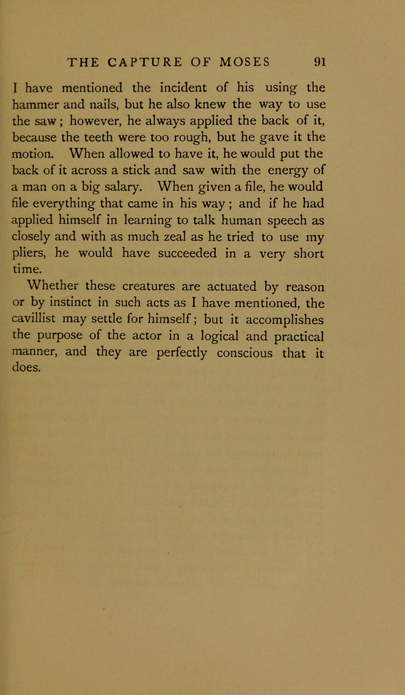 I have mentioned the incident of his using the hammer and nails, but he also knew the way to use the saw ; however, he always applied the back of it, because the teeth were too rough, but he gave it the motion. When allowed to have it, he would put the back of it across a stick and saw with the energy of a man on a big salary. When given a file, he would file everything that came in his way; and if he had applied himself in learning to talk human speech as closely and with as much zeal as he tried to use my pliers, he would have succeeded in a very short time. Whether these creatures are actuated by reason or by instinct in such acts as I have mentioned, the cavillist may settle for himself; but it accomplishes the purpose of the actor in a logical and practical manner, and they are perfectly conscious that it does.
