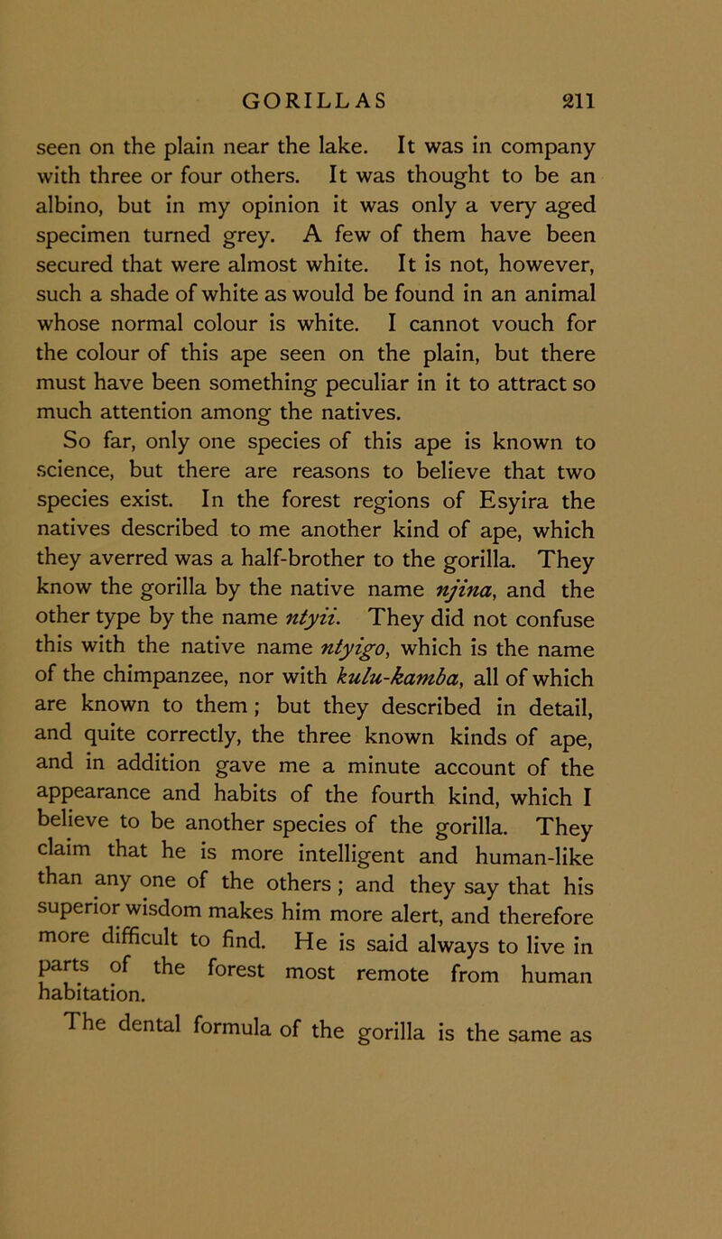 seen on the plain near the lake. It was in company with three or four others. It was thought to be an albino, but in my opinion it was only a very aged specimen turned grey. A few of them have been secured that were almost white. It is not, however, such a shade of white as would be found in an animal whose normal colour is white. I cannot vouch for the colour of this ape seen on the plain, but there must have been something peculiar in it to attract so much attention among the natives. So far, only one species of this ape is known to science, but there are reasons to believe that two species exist. In the forest regions of Esyira the natives described to me another kind of ape, which they averred was a half-brother to the gorilla. They know the gorilla by the native name njina, and the other type by the name ntyii. They did not confuse this with the native name ntyigo, which is the name of the chimpanzee, nor with kulu-kamba, all of which are known to them; but they described in detail, and quite correctly, the three known kinds of ape, and in addition gave me a minute account of the appearance and habits of the fourth kind, which I believe to be another species of the gorilla. They claim that he is more intelligent and human-like than any one of the others; and they say that his superior wisdom makes him more alert, and therefore more difficult to find. He is said always to live in parts of the forest most remote from human habitation. The dental formula of the gorilla is the same as