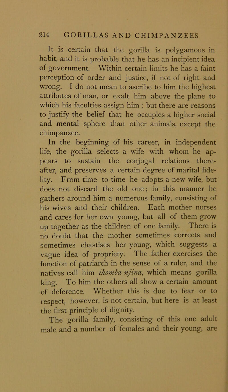 It is certain that the gorilla is polygamous in habit, and it is probable that he has an incipient idea of government. Within certain limits he has a faint perception of order and justice, if not of right and wrong. I do not mean to ascribe to him the highest attributes of man, or exalt him above the plane to which his faculties assign him ; but there are reasons to justify the belief that he occupies a higher social and mental sphere than other animals, except the chimpanzee. In the beginning of his career, in independent life, the gorilla selects a wife with whom he ap- pears to sustain the conjugal relations there- after, and preserves a certain degree of marital fide- lity. From time to time he adopts a new wife, but does not discard the old one ; in this manner he gathers around him a numerous family, consisting of his wives and their children. Each mother nurses and cares for her own young, but all of them grow up together as the children of one family. There is no doubt that the mother sometimes corrects and sometimes chastises her young, which suggests a vague idea of propriety. The father exercises the function of patriarch in the sense of a ruler, and the natives call him ikoniba njina, which means gorilla king. To him the others all show a certain amount of deference. Whether this is due to fear or to respect, however, is not certain, but here is at least the first principle of dignity. The gorilla family, consisting of this one adult male and a number of females and their young, are