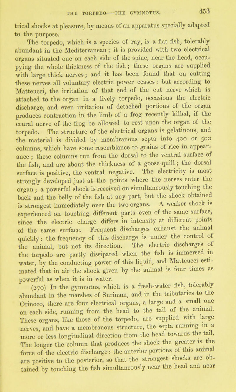 THE TORPEDO THE GYMNOTtTS. trical shoclvs at pleasure, by means of an apparatus specially adapted to the purpose. The torpedo, which is a species of ray, is a flat fish, tolerably abundant in the ISIediterranean; it is provided with two electrical organs situated one on each side of the spine, near the head, occu- pying the whole thickness of the fish; these organs are supplied with large thick nerves; and it has been found that on cutting these nerves all voluntary electric power ceases : but according to Matteucci, the irritation of that end of the cut nerve which is attached to the organ in a lively torpedo, occasions the electric discharge, and even irritation of detached portions of the organ produces contraction in the limb of a frog recently killed, if the crural nerve of the frog be allowed to rest upon the organ of the torpedo. The structure of the electrical organs is gelatinous, and the material is divided by membranous septa into 4*^0 or ^00 columns, which have some resemblance to grains of rice in appear- ance ; these columns run from the dorsal to the ventral surface of the fish, and are about the thickness of a goose-quill j the dorsal surface is positive, the ventral negative. The electricity is most strongly developed just at the points where the nerves enter the organ j a powerful shock is received on simultaneously touching the back and the belly of the fish at any part, but the shock obtained is strongest immediately over the two organs. A weaker shock is experienced on touching different parts even of the same surface, since the electric charge differs in intensity at different points of the same surface. Frequent discharges exhaust the animal quickly: the frequency of this discharge is under the control of the animal, but not its direction. The electric discharges of the torpedo are partly dissipated when the fish is immersed in water, by the conducting power of this liquid, and Matteucci esti- mated that in air the shock given by the animal is four times as powerful as when it is in water. (270) In the gymnotus, which is a fresh-water fish, tolerably abundant in the marshes of Surinam, and in the tributaries to the Orinoco, there are four electrical organs, a large and a small one on each side, running from the head to the tail of the animal. These organs, like those of the torpedo, are supplied with large nerves, and have a membranous structure, the septa running in a more or less longitudinal direction from the head towards the tail. The longer the column that produces the shock the greater is the force of the electric discharge ; the anterior portions of this animal are positive to the posterior, so that the strongest shocks are ob- tained by touching the fish simultaneously near the head and near