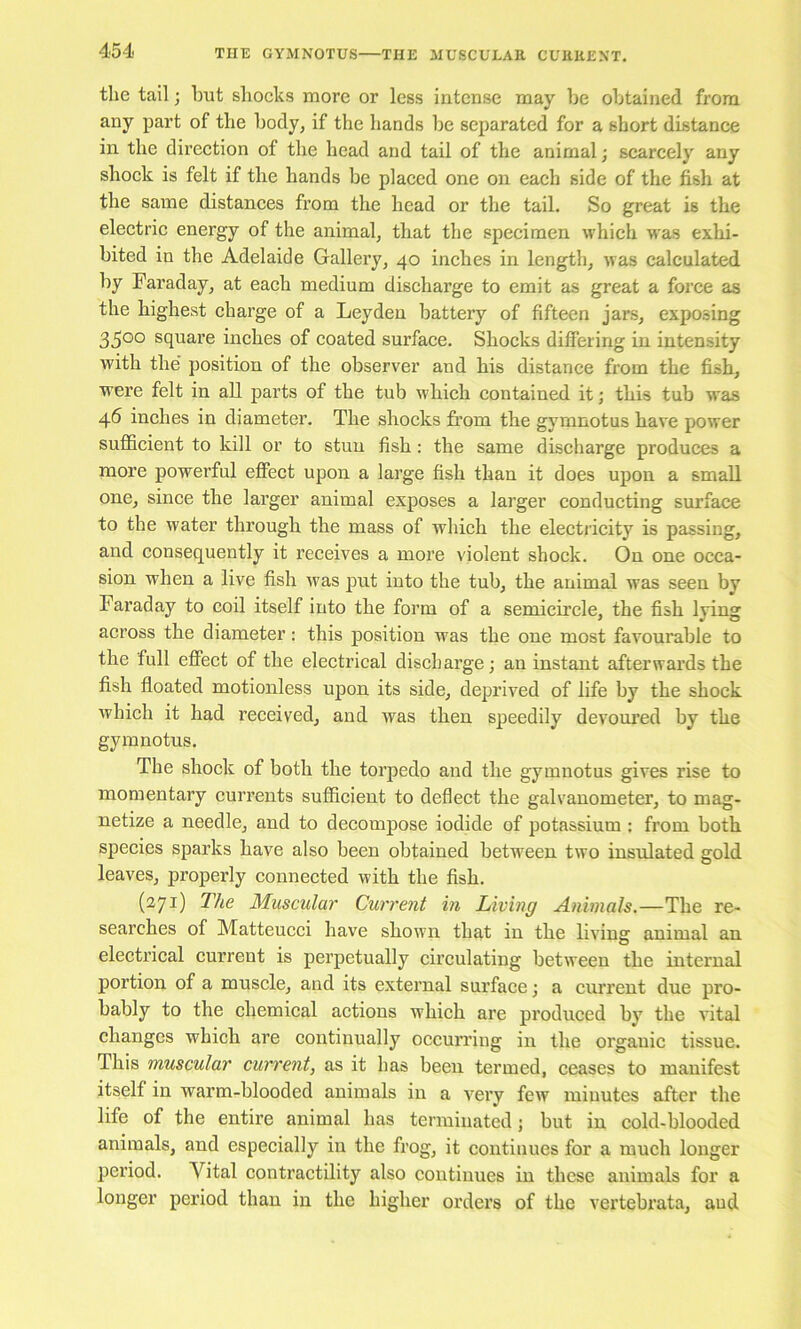 the tail; hut shocks more or less intense may he obtained from any part of the body, if the hands he separated for a short distance in the direction of the head and tail of the animal; scarcely any shock is felt if the hands be placed one on each side of the fish at the same distances from the head or the tail. So great is the electric energy of the animal, that the specimen which was exhi- bited in the Adelaide Gallery, 40 inches in length, was calculated by Faraday, at each medium dischai’ge to emit as great a foi’ce as the highest charge of a Leyden battery of fifteen jars, exposing 3500 square inches of coated surface. Shocks differing in intensity with the' position of the observer and his distance from the fish, were felt in all parts of the tub which contained it; this tub was 46 inches in diameter. The shocks from the gymnotus have power sufficient to kill or to stun fish: the same discharge produces a more powerful effect upon a large fish than it does upon a small one, since the larger animal exposes a larger conducting surface to the water through the mass of which the electricity is passing, and consequently it receives a more violent shock. On one occa- sion when a live fish was put into the tub, the animal was seen by Faraday to coil itself into the form of a semicircle, the fish lying across the diameter; this position was the one most favourable to the full effect of the electrical discharge; an instant afterwards the fish floated motionless upon its side, deprived of life by the shock which it had I’eceived, and was then speedily devom’ed by the gymnotus. The shock of both the torpedo and the gymnotus gives rise to momentary currents sufficient to deflect the galvanometer, to mag- netize a needle, and to decompose iodide of potassium : from both species sparks have also been obtained between two insulated gold leaves, properly connected with the fish. (271) The Muscular Current in Living Animals.—The re- searches of Matteucci have shown that in the living animal an electrical current is perpetually circulating between the internal portion of a muscle, and its external surface; a current due pro- bably to the chemical actions which are produced by the vital changes which are continually occurring in the organic tissue. This muscular current, as it has been termed, ceases to manifest itself in warm-blooded animals in a very few minutes after the life of the entire animal has terminated; but in cold-blooded animals, and especially in the frog, it continues for a much longer period. Vital contractility also continues in these animals for a longer period than in the higher orders of the vertebrata, aud