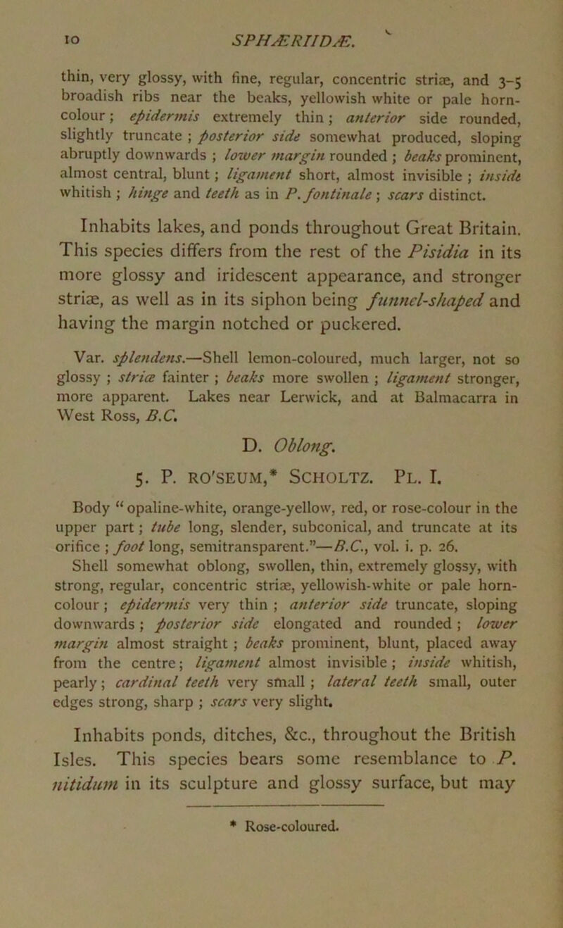 thin, very glossy, with fine, regular, concentric striae, and 3-5 broadish ribs near the beaks, yellowish white or pale horn- colour ; epidermis extremely thin; anterior side rounded, slightly truncate ; posterior side somewhat produced, sloping abruptly downwards ; lower margin rounded ; beaks prominent, almost central, blunt; ligament short, almost invisible ; inside whitish j hinge and teeth as in P.fontinale ; scars distinct. Inhabits lakes, and ponds throughout Great Britain. This species differs from the rest of the Pisidia in its more glossy and iridescent appearance, and stronger strim, as well as in its siphon being funnel-shaped and having the margin notched or puckered. Var. splendens.—Shell lemon-coloured, much larger, not so glossy ; strice fainter ; beaks more swollen ; ligament stronger, more apparent. Lakes near Lerwick, and at Balmacarra in West Ross, B.C, D. Oblong. 5. P. RO'SEUM,* SCHOLTZ. Pl. I. Body “opaline-white, orange-yellow, red, or rose-colour in the upper part; tube long, slender, subconical, and truncate at its orifice ; foot long, semitransparent.”—5.C., vol. i. p. 26. Shell somewhat oblong, swollen, thin, extremely glossy, with strong, regular, concentric strim, yellowish-white or pale horn- colour ; epidermis very thin ; anterior side truncate, sloping downwards; posterior side elongated and rounded; lower margin almost straight ; beaks prominent, blunt, placed away from the centre; ligament almost invisible ; inside whitish, pearly; cardinal teeth very small ; lateral teeth small, outer edges strong, sharp ; scars very slight. Inhabits ponds, ditches, &c., throughout the British Isles. This species bears some resemblance to P. nitidum in its sculpture and glossy surface, but may * Rose-coloured.