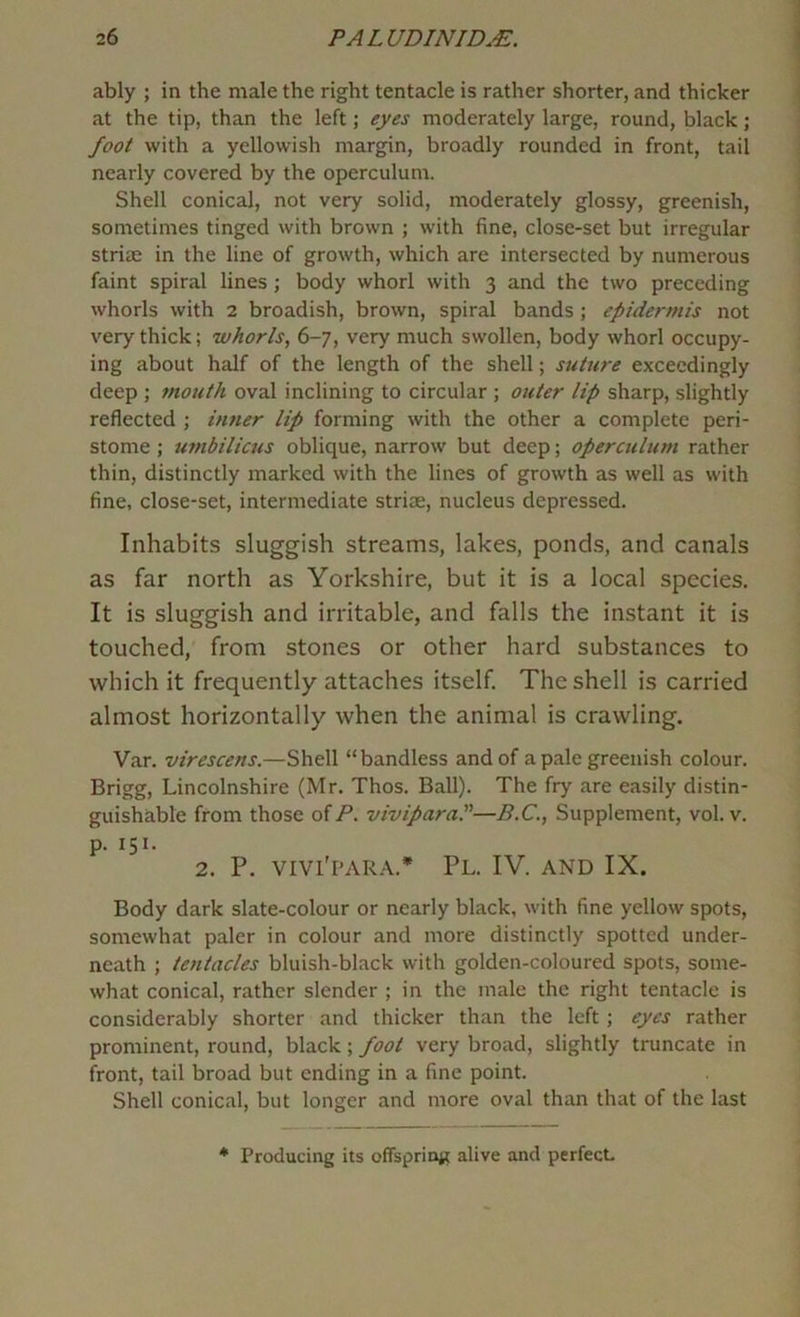 ably ; in the male the right tentacle is rather shorter, and thicker at the tip, than the left; eyes moderately large, round, black ; foot with a yellowish margin, broadly rounded in front, tail nearly covered by the operculum. Shell conical, not very solid, moderately glossy, greenish, sometimes tinged with brown ; with fine, close-set but irregular stria: in the line of growth, which are intersected by numerous faint spiral lines; body whorl with 3 and the two preceding whorls with 2 broadish, brown, spiral bands ; epidermis not very thick; whorls, 6-7, very much swollen, body whorl occupy- ing about half of the length of the shell; suture exceedingly deep ; mouth oval inclining to circular ; outer lip sharp, slightly reflected ; inner lip forming with the other a complete peri- stome ; umbilicus oblique, narrow but deep; operculum rather thin, distinctly marked with the lines of growth as well as with fine, close-set, intermediate striae, nucleus depressed. Inhabits sluggish streams, lakes, ponds, and canals as far north as Yorkshire, but it is a local species. It is sluggish and irritable, and falls the instant it is touched, from stones or other hard substances to which it frequently attaches itself. The shell is carried almost horizontally when the animal is crawling. Var. virescens.—Shell “bandless and of a pale greenish colour. Brigg, Lincolnshire (Mr. Thos. Ball). The fry are easily distin- guishable from those oiP. vivipara.”—B.C., Supplement, vol. v. p. 151. 2. P. VIVl'PAR.\.* PL. IV. AND IX. Body dark slate-colour or nearly black, with fine yellow spots, somewhat paler in colour and more distinctly spotted under- neath ; tentacles bluish-black with golden-coloured spots, some- what conical, rather slender ; in the male the right tentacle is considerably shorter and thicker than the left ; eyes rather prominent, round, black; foot very broad, slightly truncate in front, tail broad but ending in a fine point. Shell conical, but longer and more oval than that of the last * Producing its offspring alive and perfect