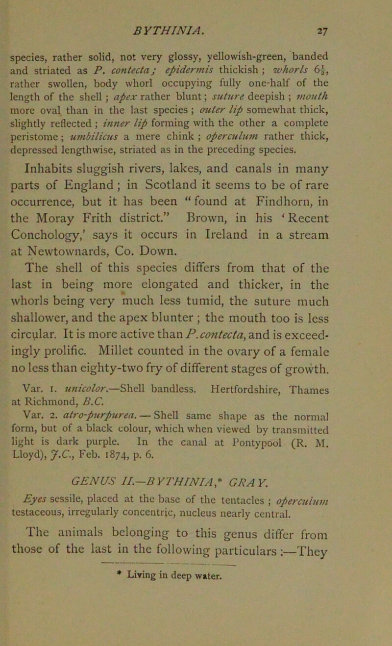 species, rather solid, not very glossy, yellowish-green, banded and striated as P. contectaj epidermis thickish ; whorls 6|, rather swollen, body whorl occupying fully one-half of the length of the shell; apex rather blunt; suture deepish ; mouth more oval than in the last species ; outer lip somewhat thick, slightly reflected ; inner lip forming with the other a complete peristome; umbilicus a mere chink ; opercubim rather thick, depressed lengthwise, striated as in the preceding species. Inhabits sluggish rivers, lakes, and canals in many parts of England ; in Scotland it seems to be of rare occurrence, but it has been “ found at Findhorn, in the Moray Frith district.” Brown, in his ‘ Recent Conchology,’ says it occurs in Ireland in a stream at Newtownards, Co. Down. The shell of this species differs from that of the last in being more elongated and thicker, in the whorls being very much less tumid, the suture much shallower, and the apex blunter ; the mouth too is less circular. It is more active than P.contecta, and is exceed- ingly prolific. Millet counted in the ovary of a female no less than eighty-two fry of different stages of grovvth. Var. I. unicolor.—Shell bandless. Hertfordshire, Thames at Richmond, B.C. Var. 2. atro-ptirpurea. — Shell same shape as the normal form, but of a black colour, which when viewed by transmitted light is dark purple. In the canal at Pontypool (R. M. Lloyd), J.C., Feb. 1874, P- 6. GENUS 1!.—BYTHINIA,* GRAY. Eyes sessile, placed at the base of the tentacles ; operculum testaceous, irregularly concentric, nucleus nearly central. The animals belonging to this genus differ from those of the last in the following particulars :—They • Living in deep water.