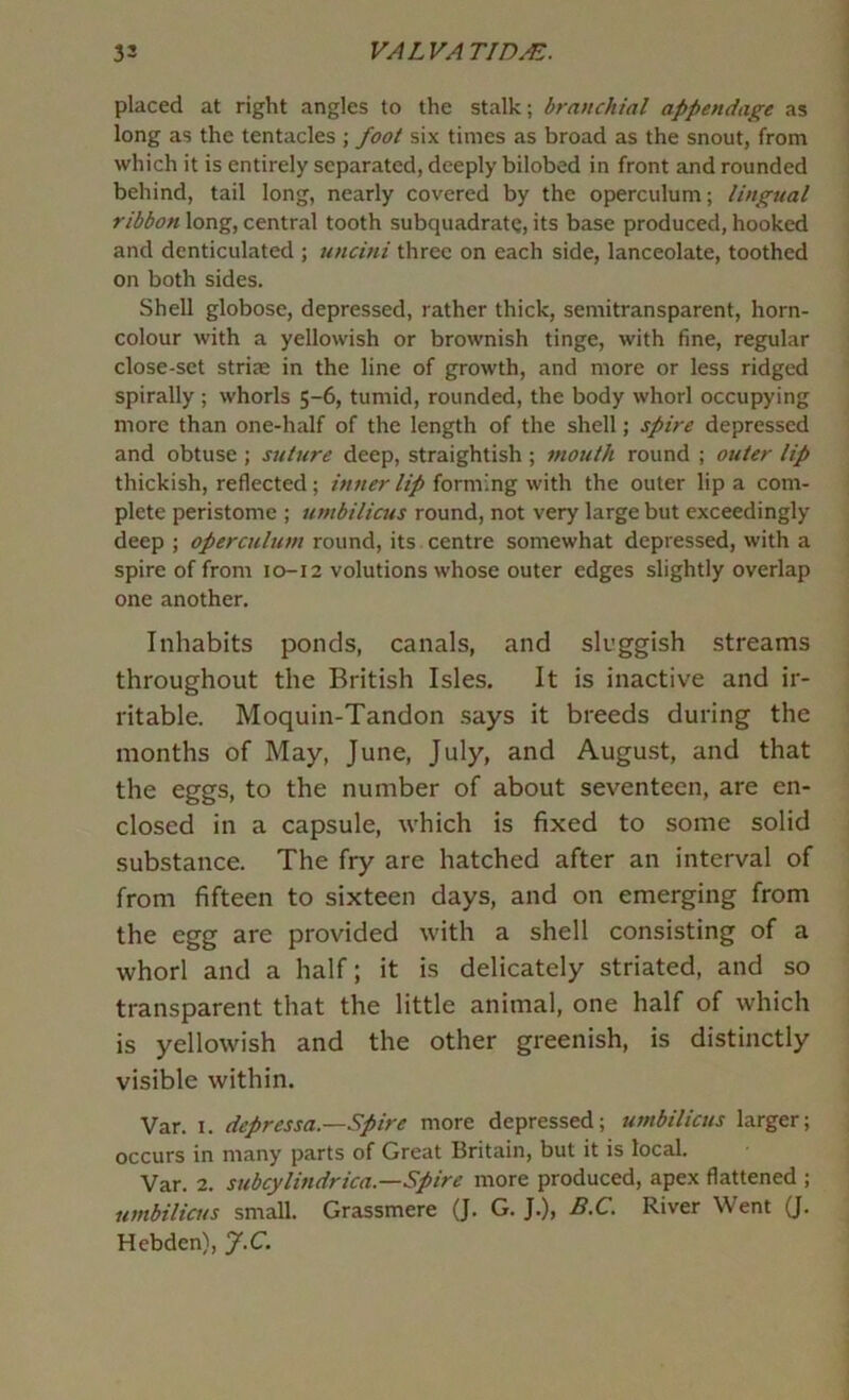 placed at right angles to the stalk; branchial appendage as long as the tentacles ; foot six times as broad as the snout, from which it is entirely separated, deeply bilobed in front and rounded behind, tail long, nearly covered by the operculum; lingual ribbon long, central tooth subquadrate, its base produced, hooked and denticulated ; uncini three on each side, lanceolate, toothed on both sides. Shell globose, depressed, rather thick, semitransparent, horn- colour with a yellowish or brownish tinge, with fine, regular close-set striae in the line of growth, and more or less ridged spirally ; whorls 5-6, tumid, rounded, the body whorl occupying more than one-half of the length of the shell; spire depressed and obtuse ; suture deep, straightish ; mouth round ; outer lip thickish, reflected; inner lip forming with the outer lip a com- plete peristome ; umbilicus round, not very large but exceedingly deep ; operculum round, its centre somewhat depressed, with a spire of from 10-12 volutions whose outer edges slightly overlap one another. Inhabits ponds, canals, and sluggish streams throughout the British Isles. It is inactive and ir- ritable. Moquin-Tandon says it breeds during the months of May, June, July, and August, and that the eggs, to the number of about seventeen, are en- closed in a capsule, which is fixed to some solid substance. The fry are hatched after an interval of from fifteen to sixteen days, and on emerging from the egg are provided with a shell consisting of a whorl and a half; it is delicately striated, and so transparent that the little animal, one half of which is yellowish and the other greenish, is distinctly visible within. Var. I. depressa.—Spire more depressed; umbilicus larger; occurs in many parts of Great Britain, but it is local. Var. 2. subcylindrica.—Spire more produced, apex flattened ; umbilicus small. Grassmere (J. G. J.), B.C. River Went (J. Hebden), J.C.
