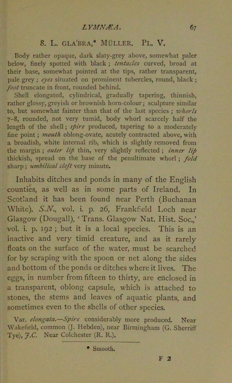 8. L. gla'bra,* Muller. Pl. V. Body rather opaque, dark slaty-grey above, somewhat paler below, finely spotted with black ; tentacles curved, broad at their base, somewhat pointed at the tips, rather transparent, pale grey ; eyes situated on prominent tubercles, round, black ; foot truncate in front, rounded behind. Shell elongated, cylindrical, gradually tapering, thinnish, rather glossy, greyish or brownish horn-colour; sculpture similar to, but somewhat fainter than that of the last species ; whorls 7-8, rounded, not very tumid, body whorl scarcely half the length of the shell; spire produced, tapering to a moderately fine point ; mouth oblong-ovate, acutely contracted above, with a broadish, white internal rib, which is slightly removed from the margin ; outer lip thin, very slightly reflected ; inner lip thickish, spread on the base of the penultimate whorl ; fold sharp; umbilical cleft very minute. Inhabits ditches and ponds in many of the English counties, as well as in some parts of Ireland. In Scotland it has been found near Perth (Buchanan White), S.N., vol. i. p. 26, Frankfield Loch near Glasgow (Dougall), ‘ Trans. Glasgow Nat. Hist. Soc.,’ vol. i. p. 192 ; but it is a local species. This is an inactive and very timid creature, and as it rarely floats on the surface of the water, must be searched for by scraping with the spoon or net along the sides and bottom of the ponds or ditches where it lives. The eggs, in number from fifteen to thirty, are enclosed in a transparent, oblong capsule, which is attached to stones, the stems and leaves of aquatic plants, and sometimes even to the shells of other species. Var. elongata.—Spire considerably more produced. Near Wakefield, common (J. Hebden), near Birmingham (G. Sherriff Tye), J.C. Near Colchester (R. R.). • Smooth, F 2
