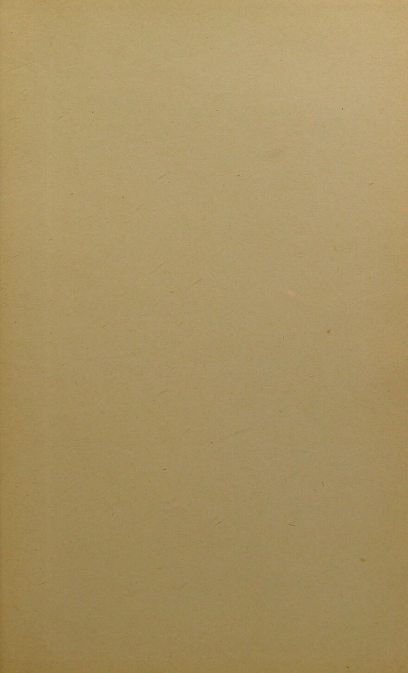 fe. / 0 \ \ i r I F'