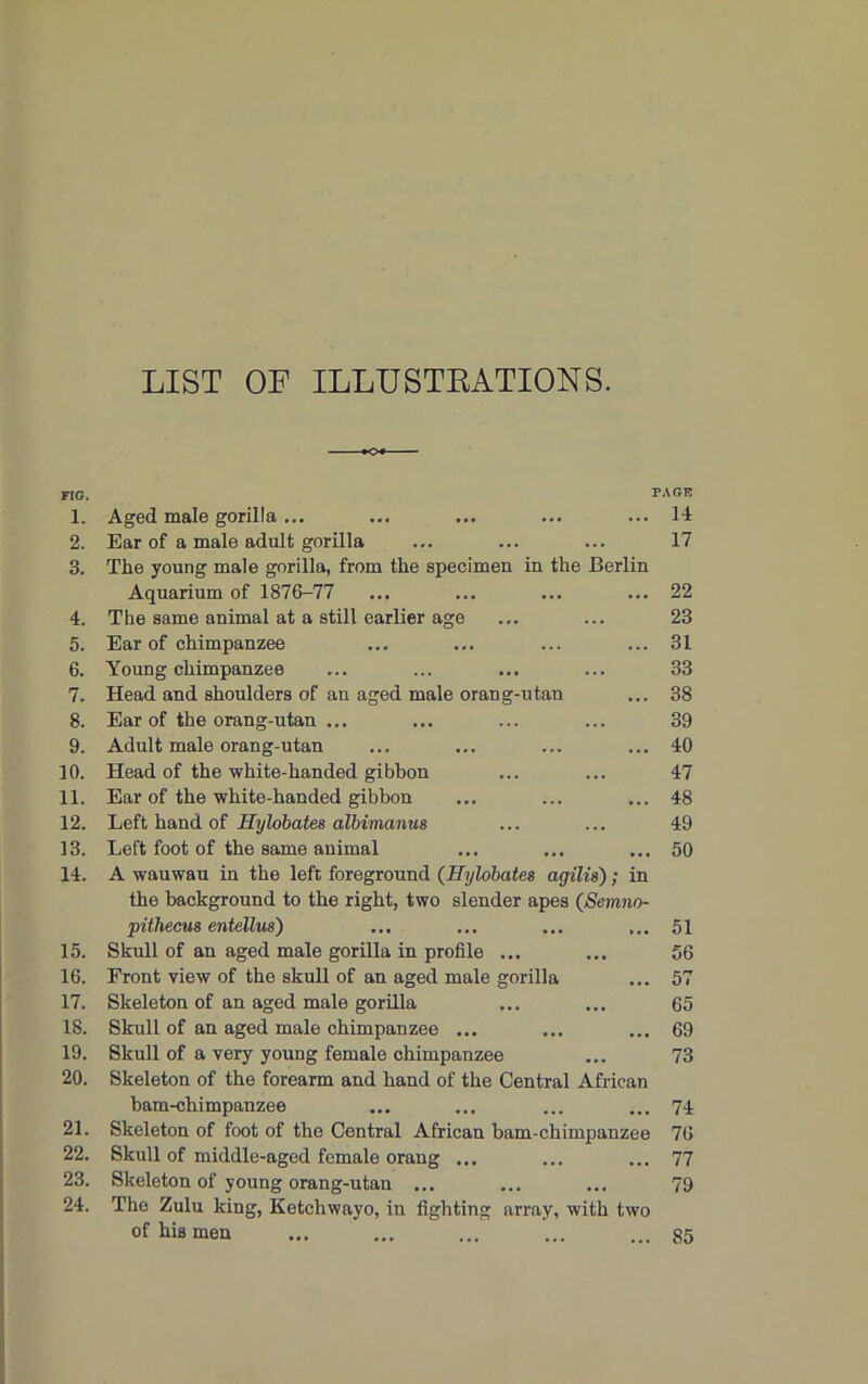 LIST OF ILLUSTRATIONS. FIG. PAGE 1. Aged male gorilla ... ... ... ... ... 14 2. Ear of a male adult gorilla ... ... ... 17 3. The young male gorilla, from the specimen in the Berlin Aquarium of 1876-77 ... ... ... ... 22 4. The same animal at a still earlier age ... ... 23 5. Ear of chimpanzee ... ... ... ... 31 6. Young chimpanzee ... ... ... ... 33 7. Head and shoulders of an aged male orang-utan ... 38 8. Ear of the orang-utan ... ... ... ... 39 9. Adult male orang-utan ... ... ... ... 40 10. Head of the white-handed gibbon ... ... 47 11. Ear of the white-handed gibbon ... ... ... 48 12. Left hand of Hybbates albimanus ... ... 49 13. Left foot of the same animal ... ... ... 50 14. A wauwau in the left foreground (Hylobates agilis); in the background to the right, two slender apes (Semno- pithecus entellus) ... ... ... ... 51 15. Skull of an aged male gorilla in profile ... ... 56 16. Front view of the skull of an aged male gorilla ... 57 17. Skeleton of an aged male gorilla ... ... 65 18. Skull of an aged male chimpanzee ... ... ... 69 19. Skull of a very young female chimpanzee ... 73 20. Skeleton of the forearm and hand of the Central African bam-chimpanzee ... ... ... ... 74 21. Skeleton of foot of the Central African bam-chimpanzee 76 22. Skull of middle-aged female orang ... ... ... 77 23. Skeleton of young orang-utan ... ... ... 79 24. The Zulu king, Ketchwayo, in fighting array, with two of his men ... ... ... ... ... 35