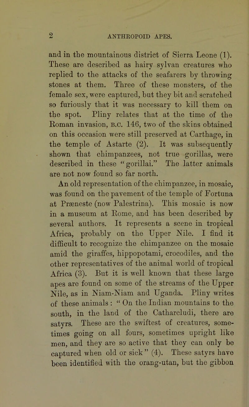 and in the mountainous district of Sierra Leone (1). These are described as hairy sylvan creatures who replied to the attacks of the seafarers by throwing stones at them. Three of these monsters, of the female sex, were captured, hut they bit and scratched so furiously that it was necessary to kill them on the spot. Pliny relates that at the time of the Roman invasion, b.c. 146, two of the skins obtained on this occasion were still preserved at Carthage, in the temple of Astarte (2). It was subsequently shown that chimpanzees, not true gorillas, were described in these “gorillai.” The latter animals are not now found so far north. An old representation of the chimpanzee, in mosaic, was found on the pavement of the temple of Fortuna at Prseneste (now Palestrina). This mosaic is now in a museum at Pome, and has been described by several authors. It represents a scene in tropical Africa, probably on the Upper Nile. I find it difficult to recognize the chimpanzee on the mosaic amid the giraffes, hippopotami, crocodiles, and the other representatives of the animal world of tropical Africa (3). But it is well known that these large apes are found on some of the streams of the Upper Nile, as in Niam-Niam and Uganda. Pliny writes of these animals : “ On the Indian mountains to the south, in the land of the Catkarcludi, there are satyrs. These are the swiftest of creatures, some- times going on all fours, sometimes upright like men, and they are so active that they can only be captured when old or sick ” (4). These satyrs have been identified with the orang-utan, but the gibbon