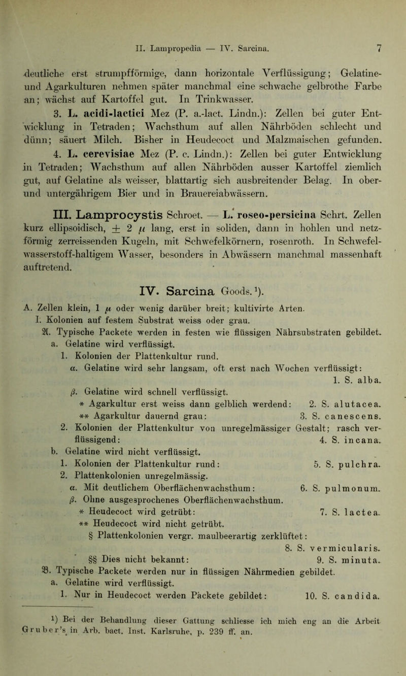 deutliche erst Strumpf förmige, dann horizontale Verflüssigung; Gelatine- und Agarkulturen nehmen später manchmal eine schwache gelbrothe Farbe an; wächst auf Kartoffel gut. In Trinkwasser. 3. L. acidi-lactiei Mez (P. a.-lact. Lindn.): Zellen bei guter Ent- wicklung in Tetraden; Wachsthum auf allen Nährböden schlecht und dünn; säuert Milch. Bisher in Heudecoct und Malzmaischen gefunden. 4. L. cerevisiae Mez (P. c. Lindn.): Zellen bei guter Entwicklung in Tetraden; Wachsthum auf allen Nährböden ausser Kartoffel ziemlich gut, auf Gelatine als weisser, blattartig sich ausbreitender Belag. In ober- und untergährigem Bier und in BrauereiabwTässern. III. Lamprocystis Schroet. — L. roseo-persicina Sehrt. Zellen kurz ellipsoidisch, + 2 lang, erst in soliden, dann in hohlen und netz- förmig zerreissenden Kugeln, mit Schwefelkörnern, rosenroth. In Schwefel- wasserstoff-haltigem Wasser, besonders in Abwässern manchmal massenhaft auf tretend. IV. Sarcina Goods.1). A. Zellen klein, 1 p oder wenig darüber breit; kultivirte Arten. I. Kolonien auf festem Substrat weiss oder grau. 21. Typische Packete werden in festen wie flüssigen Nährsubstraten gebildet, a. Gelatine wird verflüssigt. 1. Kolonien der Plattenkultur rund. a. Gelatine wird sehr langsam, oft erst nach Wochen verflüssigt: 1. S. alba. ß. Gelatine wird schnell verflüssigt. * Agarkultur erst weiss dann gelblich werdend: 2. S. alutacea. ** Agarkultur dauernd grau: 3. S. canescens. 2. Kolonien der Plattenkultur von unregelmässiger Gestalt; rasch ver- flüssigend : b. Gelatine wird nicht verflüssigt. 1. Kolonien der Plattenkultur rund: 2. Plattenkolonien unregelmässig. a. Mit deutlichem Oberflächenwachsthum: ß. Ohne ausgesprochenes Oberflächenwachsthum. * Heudecoct wird getrübt: ** Heudecoct wird nicht getrübt. 4. S. incana. 5. S. pulchra. 6. S. pulmonum. 7. S. lactea. § Plattenkolonien vergr. maulbeerartig zerklüftet: 8. S. vermicularis. §§ Dies nicht bekannt: 9. S. minuta. 23. Typische Packete werden nur in flüssigen Nährmedien gebildet. a. Gelatine wird verflüssigt. 1. Nur in Heudecoct werden Packete gebildet: 10. S. candida. !) Bei der Behandlung dieser Gattung schliesse ich mich eng an die Arbeit Gruber’s in Arb. bact. Inst. Karlsruhe, p. 239 ff. an.