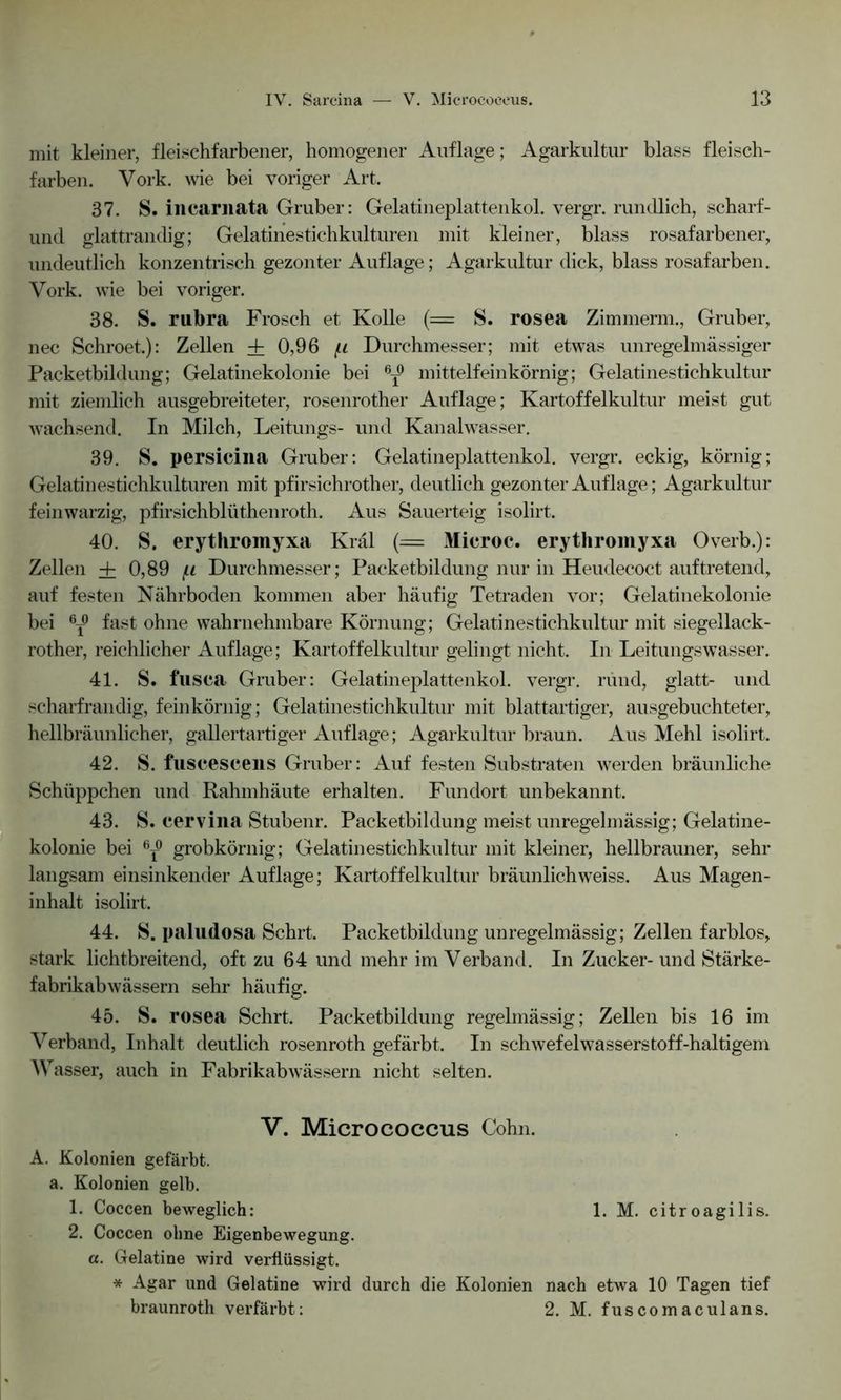 mit kleiner, fleischfarbener, homogener Auflage; Agarkultur blass fleisch- farben. Vork. wie bei voriger Art. 37. S. incarnata Gruber: Gelatineplattenkol. vergr. rundlich, scharf- und glattrandig; Gelatinestichkulturen mit kleiner, blass rosafarbener, undeutlich konzentrisch gezonter Auflage; Agarkultur dick, blass rosafarben. Vork. wie bei voriger. 38. S. rubra Frosch et Kolle (= S. rosea Zimmerm., Gruber, nec Schroet.): Zellen + 0,96 (.i Durchmesser; mit etwas unregelmässiger Packetbildung; Gelatinekolonie bei mittelfeinkörnig; Gelatinestichkultur mit ziemlich ausgebreiteter, rosenrother Auflage; Kartoffelkultur meist gut wachsend. In Milch, Leitungs- und Kanalwasser. 39. S. persicina Gruber: Gelatineplattenkol. vergr. eckig, körnig; Gelatinestichkulturen mit pfirsichrother, deutlich gezonter Auflage; Agarkultur feinwarzig, pfirsichbliithenroth. Aus Sauerteig isolirt. 40. S. erythroinyxa Kral (= Microc. erythromyxa Overb.): Zellen + 0,89 (.i Durchmesser; Packetbildung nur in Heudecoct auftretend, auf festen Nährboden kommen aber häufig Tetraden vor; Gelatinekolonie bei 6t° fast ohne wahrnehmbare Körnung; Gelatinestichkultur mit siegellack- rother, reichlicher Auflage; Kartoffelkultur gelingt nicht. In Leitungswasser. 41. S. fusea Gruber: Gelatineplattenkol. vergr. rund, glatt- und scharfrandig, feinkörnig; Gelatinestichkultur mit blattartiger, ausgebuchteter, hellbräunlicher, gallertartiger Auflage; Agarkultur braun. Aus Mehl isolirt. . 42. S. fusceseens Gruber: Auf festen Substraten werden bräunliche Schüppchen und Rahmhäute erhalten. Fundort unbekannt. 43. S. cervina Stubenr. Packetbildung meist unregelmässig; Gelatine- kolonie bei 6r° grobkörnig; Gelatinestichkultur mit kleiner, hellbrauner, sehr langsam einsinkender Auflage; Kartoffelkultur bräunlichweiss. Aus Magen- inhalt isolirt. 44. S. paludosa Sehrt. Packetbildung unregelmässig; Zellen farblos, stark lichtbreitend, oft zu 64 und mehr im Verband. In Zucker-und Stärke- fabrikabwässern sehr häufig. 45. S. rosea Sehrt. Packetbildung regelmässig; Zellen bis 16 im Verband, Inhalt deutlich rosenroth gefärbt. In schwefelwasserstoff-haltigem Wasser, auch in Fabrikabwässern nicht selten. V. Micrococcus Cohn. A. Kolonien gefärbt, a. Kolonien gelb. 1. Coccen beweglich: 1. M. citroagilis. 2. Coccen ohne Eigenbewegung. a. Gelatine wird verflüssigt. * Agar und Gelatine wird durch die Kolonien nach etwa 10 Tagen tief braunroth verfärbt: 2. M. fuscomaculans.
