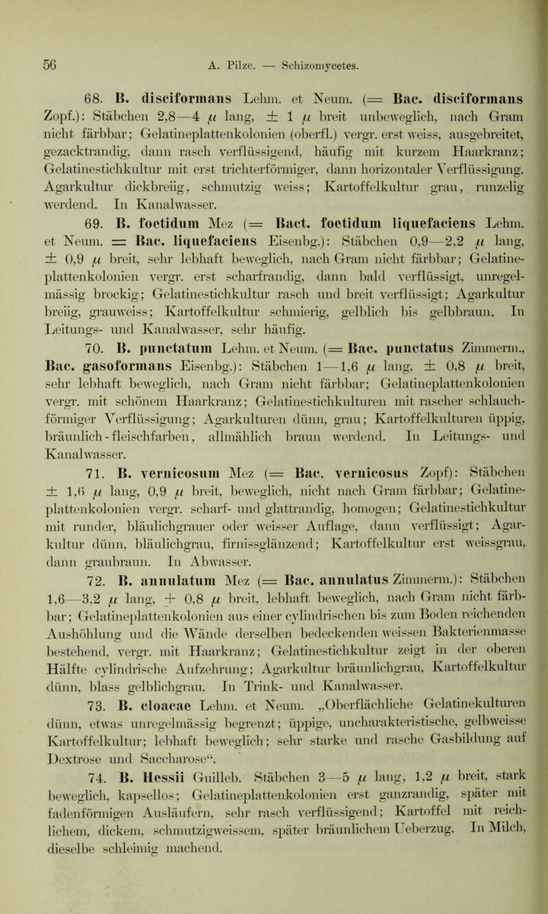 68. B. disciformans Lehm, et Neum. (= Bac. (lisciforinans Zopf.): Stäbchen 2,8—4 f.i lang, ± 1 fi breit unbeweglich, nach Gram nicht färbbar; Gelatineplattenkolonien (oberfl.) vergr. erst weiss, ausgebreitet, gezacktrandig, dann rasch verflüssigend, häufig mit kurzem Haarkranz; Gelatinestichkultur mit erst trichterförmiger, dann horizontaler Verflüssigung. Agarkultur dickbreiig, schmutzig weiss; Kartoffelkultur grau, runzelig werdend. In Kanalwasser. 69. B. foetidum Mez (= Bact. foetidum liquefaciens Lehm, et Neum. Bac. liquefaciens Eisenbg.): Stäbchen 0,9—2,2 (.i lang, ih 0,9 fi breit, sehr lebhaft beweglich, nach Gram nicht färbbar; Gelatine- plattenkolonien vergr. erst scharfrandig, dann bald verflüssigt, unregel- mässig brockig; Gelatinestichkultur rasch und breit verflüssigt; Agarkultur breiig, grau weiss; Kartoffelkultur schmierig, gelblich bis gelbbraun. In Leitungs- und Kanalwasser, sehr häufig. 70. B. punctatum Lehm, et Neum. (= Bac. punctatus Zimmerm., Bac. gasoformans Eisenbg.): Stäbchen 1—1,6 (i lang, ± 0,8 f.i breit, sehr lebhaft beweglich, nach Gram nicht färbbar; Gelatineplattenkolonien vergr. mit schönem Haarkranz; Gelatinestichkulturen mit rascher schlauch- förmiger Verflüssigung; Agarkulturen dünn, grau; Kartoffelkulturen üppig, bräunlich - fleischfarben, allmählich braun werdend. In Leitungs- und Kanalwasser. 71. B. vernicosum Mez (= Bac. vernicosus Zopf): Stäbchen ± 1,6 f,i lang, 0,9 (.i breit, beweglich, nicht nach Gram färbbar; Gelatine- plattenkolonien vergr. scharf- und glattrandig, homogen; Gelatinestichkultur mit runder, bläulichgrauer oder weisser Auflage, dann verflüssigt; Agar- kultur dünn, bläulichgrau, firnissglänzend; Kartoffelkultur erst weissgrau, dann graubraun. In Abwasser. 72. B. annulatum Mez (= Bac. annulatus Zimmerm.): Stäbchen 1,6—3,2 (.i lang, + 0,8 fi breit, lebhaft beweglich, nach Gram nicht färb- bar ; Gelatineplattenkolonien aus einer cylindri sehen bis zum Boden reichenden Aushöhlung und die Wände derselben bedeckenden weissen Bakterienmasse bestehend, vergr. mit Haarkranz; Gelatinestichkultur zeigt in der oberen Hälfte cylindrische Aufzehrung; Agarkultur bräunlichgrau, Kartoffelkultur dünn, blass gelblichgrau. In Trink- und Kanalwasser. 73. B. cloacae Lehm, et Neum. „Oberflächliche Gelatinekulturen dünn, etwas unregelmässig begrenzt; üppige, uncharakteristische, gelbweisse Kartoffelkultur; lebhaft beweglich; sehr starke und rasche Gasbildung auf Dextrose und Saccharose“. 74. B. Hessii Guilleb. Stäbchen 3—5 /li lang, 1,2 (n breit, stark beweglich, kapsellos; Gelatineplattenkolonien erst ganzrandig, später mit fadenförmigen Ausläufern, sehr rasch verflüssigend; Kartoffel mit reich- lichem, dickem, schmutzigweissem, später bräunlichem Ueberzug. In Milch, dieselbe schleimig machend.