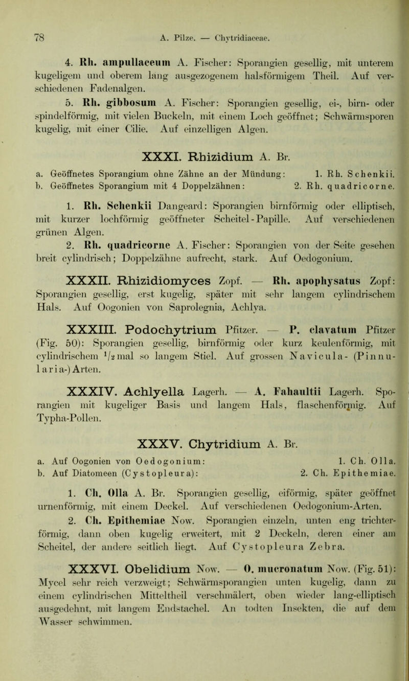 4. Rh. ampullaceum A. Fischer: Sporangien gesellig, mit unterem kugeligem und oberem lang ausgezogenem halsförmigem Theil. Auf ver- schiedenen Fadenalgen. 5. Rh. gibbosum A. Fischer: Sporangien gesellig, ei-, birn- oder spindelförmig, mit vielen Buckeln, mit einem Loch geöffnet; Schwärmsporen kugelig, mit einer Cilie. Auf einzelligen Algen. XXXI. Rhizidium A. Br. a. Geöffnetes Sporangium ohne Zähne an der Mündung: 1. Rh. Schenkii. b. Geöffnetes Sporangium mit 4 Doppelzähnen: 2. Rh. quadricorne. 1. Rh. Schenkii Dangeard: Sporangien bimförmig oder elliptisch, mit kurzer lochförmig geöffneter Scheitel - Papille. Auf verschiedenen grünen Algen. 2. Rh. quadricorne A. Fischer: Sporangien von der Seite gesehen breit cylindrisch; Doppelzähne aufrecht, stark. Auf Oedogonium. XXXII. Rhizidiomyces Zopf. — Rh. apophysatus Zopf: Sporangien gesellig, erst kugelig, später mit sehr langem cylindrischem Hals. Auf Oogonien von Saprolegnia, Achlya. XXXIII. Podochytrium Pfitzer. — P. clavatum Pfitzer (Fig. 50): Sporangien gesellig, bimförmig oder kurz keulenförmig, mit cylindrischem */» mal so langem Stiel. Auf grossen N a v i c u 1 a - (Pinnu- 1 a r i a-) Arten. XXXIV. Achlyella Lagerh. — A. Fahaultii Lagerh. Spo- rangien mit kugeliger Basis und langem Hals, flaschenförpiig. Auf Typha-Pollen. XXXV. Chytridium A. Br. a. Auf Oogonien von Oedogonium: 1. Ch. Olla. b. Auf Diatomeen (Cystopleura): 2. Ch. Epithemiae. 1. Ch. Olla A. Br. Sporangien gesellig, eiförmig, später geöffnet urnenförmig, mit einem Deckel. Auf verschiedenen Oedogonium-Arten. 2. Ch. Epithemiae Now. Sporangien einzeln, unten eng trichter- förmig, dann oben kugelig erweitert, mit 2 Deckeln, deren einer am Scheitel, der andere seitlich liegt. Auf Cy stopleura Zebra. XXXVI. Obelidium Now. 0. mucronatum Now. (Fig. 51): Mycel sehr reich verzweigt; Schwärmsporangien unten kugelig, dann zu einem cy lindrischen Mitteltheil verschmälert, oben wieder lang-elliptisch ausgedehnt, mit langem Endstachel. An todten Insekten, die auf dem Wasser schwimmen.