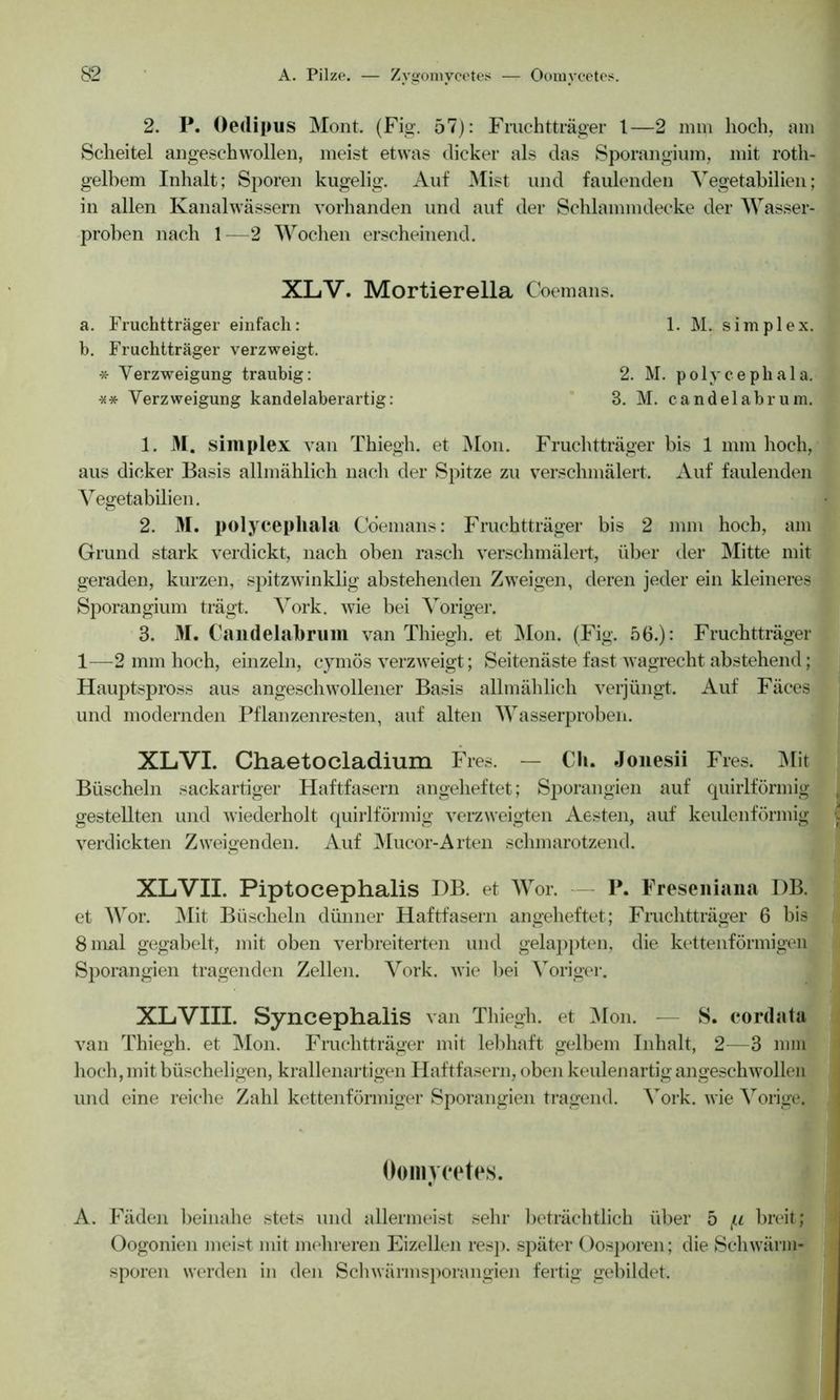 2. P. Oedipus Mont. (Fig. 57): Fruchtträger 1—2 mm hoch, am Scheitel angeschwollen, meist etwas dicker als das Sporangium, mit roth- gelbem Inhalt; Sporen kugelig. Auf Mist und faulenden Vegetabilien; in allen Kanalwässern vorhanden und auf der Schlammdecke der Wasser- proben nach 1—2 Wochen erscheinend. XLV. Mortierella Coemans. a. Fruchtträger einfach: 1. M. simplex. b. Fruchtträger verzweigt. *- Verzweigung traubig: 2. M. polycepliala. ** Verzweigung kandelaberartig: 3. M. candelabrum. 1. 31. simplex van Thiegh. et Mon. Fruchtträger bis 1 mm hoch, aus dicker Basis allmählich nach der Spitze zu verschmälert. Auf faulenden Vegetabilien. 2. 31. polycepliala Coemans: Fruchtträger bis 2 mm hoch, am Grund stark verdickt, nach oben rasch verschmälert, über der Mitte mit geraden, kurzen, spitzwinklig abstehenden Zweigen, deren jeder ein kleineres Sporangium trägt. Vork. wie bei Voriger. 3. 31. Candelabrum van Thiegh. et Mon. (Fig. 56.): Fruchtträger 1—2 mm hoch, einzeln, cymös verzweigt; Seitenäste fast wagrecht abstehend; Hauptspross aus angeschwollener Basis allmählich verjüngt. Auf Fäces und modernden Pflanzenresten, auf alten Wasserproben. XLVI. Chaetocladium Fres. — CU. Jonesii Fres. Mit Büscheln sackartiger Haftfasern angeheftet; Sporangien auf quirlförmig gestellten und wiederholt quirlförmig verzweigten Aesten, auf keulenförmig verdickten Zweigenden. Auf Mucor-Arten schmarotzend. XLVII. Piptocephalis I)B. et Wor. P. Freseniana I)B. et Wor. Mit Büscheln dünner Haftfasern angeheftet; Fruchtträger 6 bis 8 mal gegabelt, mit oben verbreiterten und gelappten, die kettenförmigen Sporangien tragenden Zellen. Vork. wie bei Voriger. XLVIII. Syncephalis van Thiegh. et Mon. — S. cordata van Thiegh. et Mon. Fruchtträger mit lebhaft gelbem Inhalt, 2—3 mm hoch,mit büscheligen, krallenartigen Haftfasern, oben keulenartigangeschwollen und eine reiche Zahl kettenförmiger Sporangien tragend. Vork. wie Vorige. Oomvcetes. r A. Fäden beinahe stets und allermeist sehr beträchtlich über 5 fx breit; Oogonien meist mit mehreren Eizellen resp. später Oosporen; die Schwärm- sporen werden in den Schwärmsporangien fertig gebildet.