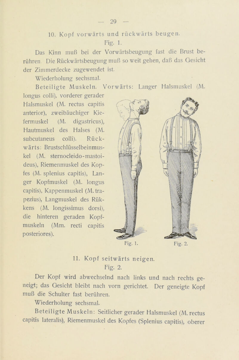 10. Kopf vorwärts und rückwärts beugen. Fi g. 1. Das Kinn muß bei der Vorwärtsbeugung fast die Brust be- rühren Die Rückwärtsbeugung muß so weit gehen, daß das Gesicht der Zimmerdecke zugewendet ist. Wiederholung sechsmal. Beteiligte Muskeln. \ longus colli), vorderer gerader Halsmuskel (M. rectus capitis anterior), zweibäuchiger Kie- fermuskel (M. digastricus), Hautmuskel des Halses (M. subcutaneus colli). Rück- wärts: Brustschlüsselbeinmus- kel (M. sternocleido-mastoi- deus), Riemenmuskel des Kop- fes (M. splenius capitis), Lan- ger Kopfmuskel (M. longus capitis), Kappenmuskel (M.tra- pezius), Langmuskel des Rük- kens (M. longissimus dorsi), die hinteren geraden Kopf- muskeln (Mm. recti capitis posteriores). orwärts: Langer Halsmuskel (M. Fig. l. Fig. 2. 11. Kopf seitwärts neigen. Fig. 2. Der Kopf wird abwechselnd nach links und nach rechts ge- neigt; das Gesicht bleibt nach vorn gerichtet. Der geneigte Kopf muß die Schulter fast berühren. Wiederholung sechsmal. Beteiligte Muskeln: Seitlicher gerader Halsmuskel (M.rectus capitis lateralis), Riemenmuskel des Kopfes (Splenius capitis), oberer