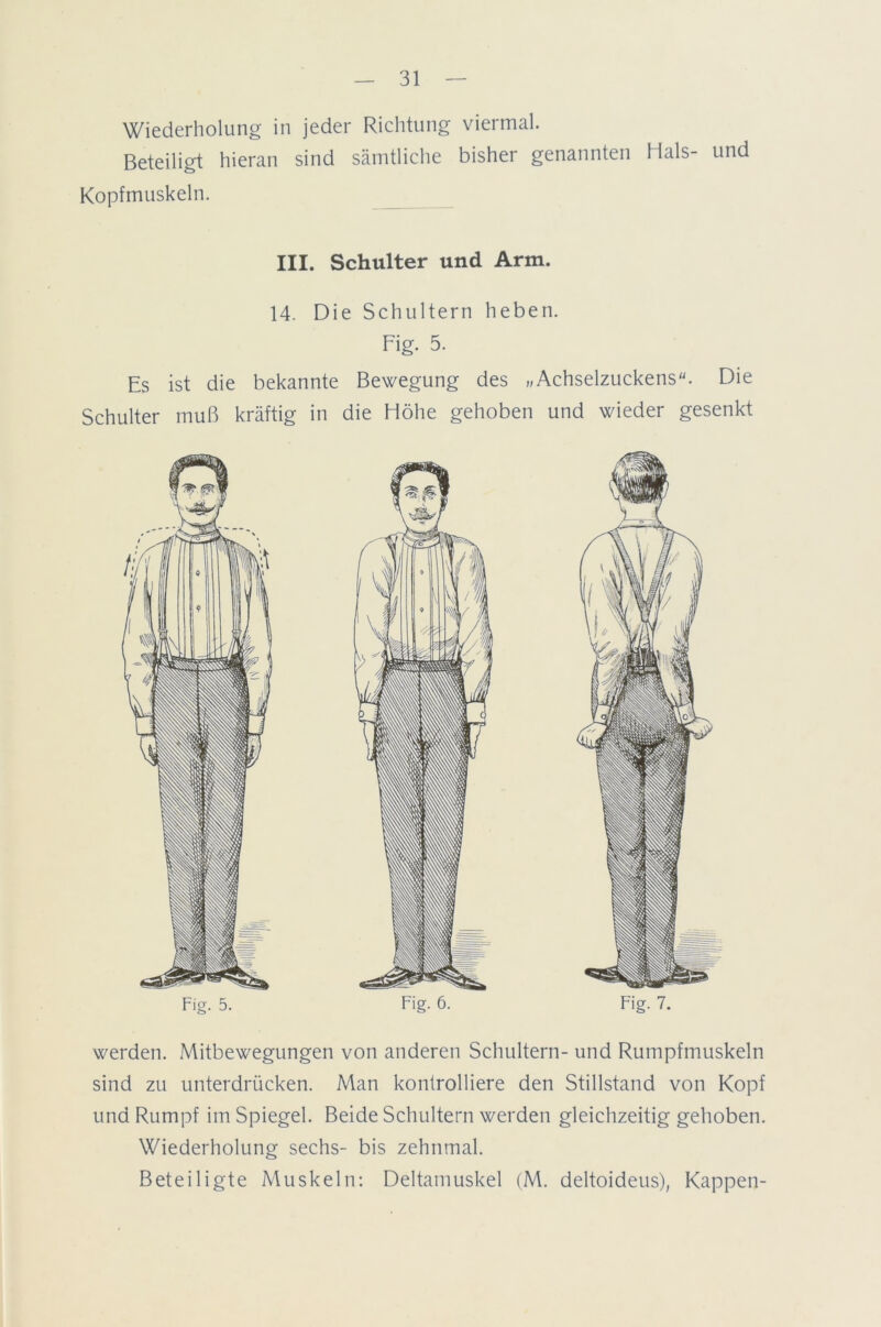Wiederholung in jeder Richtung viermal. Beteiligt hieran sind sämtliche bisher genannten Hals- und Kopfmuskeln. III. Schulter und Arm. 14. Die Schultern heben. Fig. 5. Es ist die bekannte Bewegung des „Achselzuckens. Die Schulter muß kräftig in die Höhe gehoben und wieder gesenkt werden. Mitbewegungen von anderen Schultern- und Rumpfmuskeln sind zu unterdrücken. Man kontrolliere den Stillstand von Kopf und Rumpf im Spiegel. Beide Schultern werden gleichzeitig gehoben. Wiederholung sechs- bis zehnmal. Beteiligte Muskeln: Deltamuskel (M. deltoideus), Kappen-