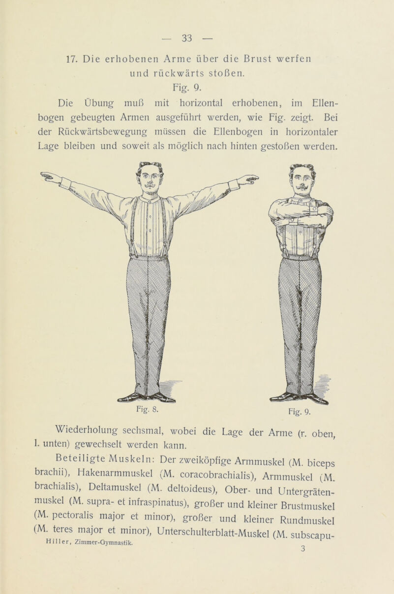 17. Die erhobenen Arme über die Brust werfen und rückwärts stoßen. Fig. 9. Die Übung muß mit horizontal erhobenen, im Ellen- bogen gebeugten Armen ausgeführt werden, wie Fig. zeigt. Bei der Rückwärtsbewegung müssen die Ellenbogen in horizontaler Lage bleiben und soweit als möglich nach hinten gestoßen werden. Fig- 8. Fig. g. Wiederholung sechsmal, wobei die Lage der Arme (r. oben, 1. unten) gewechselt werden kann. Beteiligte Muskeln: Der zweiköpfige Armmuskel (M. biceps brachii), Hakenarmmuskel (M. coracobrachialis), Armmuskel (M. brachialis), Deltamuskel (M. deltoideus), Ober- und Untergräten- muskel (M. supra- et infraspinatus), großer und kleiner Brustmuskel (M. pectoralis major et minor), großer und kleiner Rundmuskel (M. teres major et minor), Unterschulterblatt-Muskel (M. subscapu- Hil ler, Zimmer-Gymnastik.