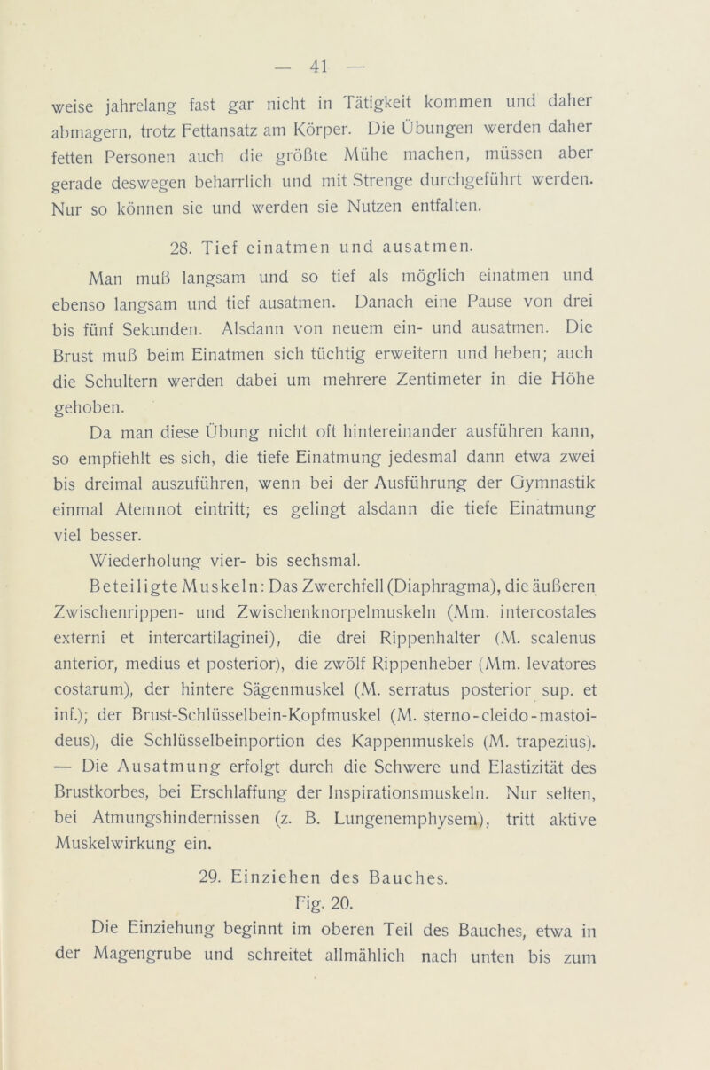 weise jahrelang fast gar nicht in Tätigkeit kommen und daher abmagern, trotz Fettansatz am Körper. Die Übungen werden daher fetten Personen auch die größte Mühe machen, müssen aber gerade deswegen beharrlich und mit Strenge durchgeführt werden. Nur so können sie und werden sie Nutzen entfalten. 28. Tief einatmen und ausatmen. Man muß langsam und so tief als möglich einatmen und ebenso langsam und tief ausatmen. Danach eine Pause von drei bis fünf Sekunden. Alsdann von neuem ein- und ausatmen. Die Brust muß beim Einatmen sich tüchtig erweitern und heben; auch die Schultern werden dabei um mehrere Zentimeter in die Höhe gehoben. Da man diese Übung nicht oft hintereinander ausführen kann, so empfiehlt es sich, die tiefe Einatmung jedesmal dann etwa zwei bis dreimal auszuführen, wenn bei der Ausführung der Gymnastik einmal Atemnot eintritt; es gelingt alsdann die tiefe Einatmung viel besser. Wiederholung vier- bis sechsmal. Beteiligte Muskeln: Das Zwerchfell (Diaphragma), die äußeren Zwischenrippen- und Zwischenknorpelmuskeln (Mm. intercostales externi et intercartilaginei), die drei Rippenhalter (M. scalenus anterior, medius et posterior), die zwölf Rippenheber (Mm. levatores costarum), der hintere Sägenmuskel (M. serratus posterior sup. et inf.); der Brust-Schlüsselbein-Kopfmuskel (M. sterno-cleido-mastoi- deus), die Schlüsselbeinportion des Kappenmuskels (M. trapezius). — Die Ausatmung erfolgt durch die Schwere und Elastizität des Brustkorbes, bei Erschlaffung der Inspirationsmuskeln. Nur selten, bei Atmungshindernissen (z. B. Lungenemphysem), tritt aktive Muskelwirkung ein. 29. Einziehen des Bauches. Fig. 20. Die Einziehung beginnt im oberen Teil des Bauches, etwa in der Magengrube und schreitet allmählich nach unten bis zum