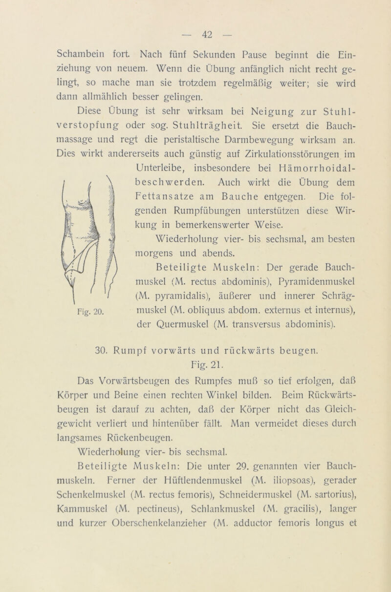 Schambein fort. Nach fünf Sekunden Pause beginnt die Ein- ziehung von neuem. Wenn die Übung anfänglich nicht recht ge- lingt, so mache man sie trotzdem regelmäßig weiter; sie wird dann allmählich besser gelingen. Diese Übung ist sehr wirksam bei Neigung zur Stuhl- verstopfung oder sog. Stuhlträgheit. Sie ersetzt die Bauch- massage und regt die peristaltische Darmbewegung wirksam an. Dies wirkt andererseits auch günstig auf Zirkulationsstörungen im Unterleibe, insbesondere bei Hämorrhoidal- beschwerden. Auch wirkt die Übung dem Fettansätze am Bauche entgegen. Die fol- genden Rumpfübungen unterstützen diese Wir- kung in bemerkenswerter Weise. Wiederholung vier- bis sechsmal, am besten morgens und abends. Beteiligte Muskeln: Der gerade Bauch- muskel (M. rectus abdominis), Pyramidenmuskel (M. pyramidalis), äußerer und innerer Schräg- muskel (M. obliquus abdom. externus et internus), der Quermuskel (M. transversus abdominis). 30. Rumpf vorwärts und rückwärts beugen. Das Vorwärtsbeugen des Rumpfes muß so tief erfolgen, daß Körper und Beine einen rechten Winkel bilden. Beim Rückwärts- beugen ist darauf zu achten, daß der Körper nicht das Gleich- gewicht verliert und hintenüber fällt. Man vermeidet dieses durch langsames Rückenbeugen. Wiederholung vier- bis sechsmal. Beteiligte Muskeln: Die unter 29. genannten vier Bauch- muskeln. Ferner der Hüftlendenmuskel (M. iliopsoas), gerader Schenkelmuskel (M. rectus femoris), Schneidermuskel (M. sartorius), Kammuskel (M. pectineus), Schlankmuskel FM. gracilis), langer und kurzer Oberschenkelanzieher (AU adductor femoris longus et