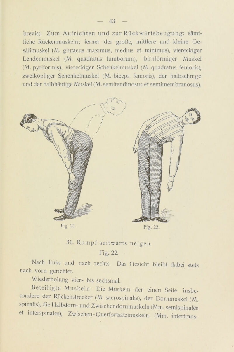 brevis). Zum Aufrichten und zur Rückwärtsbeugung: sämt- liche Rückenmuskeln; ferner der große, mittlere und kleine Ge- säßmuskel (M. glutaeus maximus, medius et minimus), viereckiger Lendenmuskel (M. quadratus lumborum), bimförmiger Muskel (M. pyriformis), viereckiger Schenkelmuskel (M. quadratus femoris), zweiköpfiger Schenkelmuskel (M. biceps femoris), der halbsehnige und der halbhäutige Muskel (M. semitendinosus et semimembranosus). F,'g-21- Fig. 22. 31. Rumpf seitwärts neigen. Fig. 22. Nach links und nach rechts. Das Gesicht bleibt dabei stets nach vorn gerichtet. Wiederholung vier- bis sechsmal. Beteiligte Muskeln: Die Muskeln der einen Seite, insbe- sondere der Rückenstrecker (M. sacrospinalis), der Dornmuskel (M. spinaüs), die Halbdorn- und Zwischendornmuskeln (Mm. semispinales et interspinales), Zwischen-Querfortsatzmuskeln (Mm. intertrans-