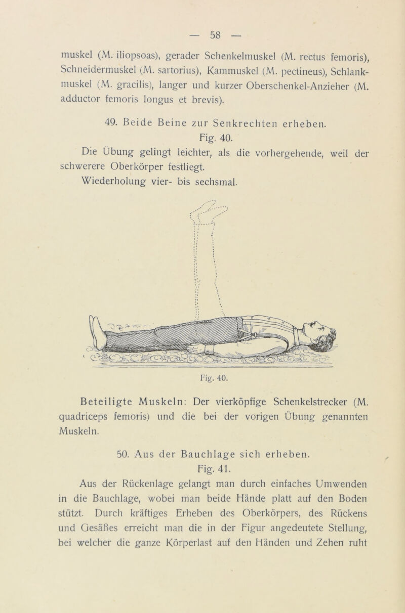 muskel (M. iliopsoas), gerader Schenkelmuskel (M. rectus femoris), Schneidermuskel (M. sartorius), Kammuskel (M. pectineus), Schlank- muskel (M. gracilis), langer und kurzer Oberschenkel-Anzieher (M. adductor femoris longus et brevis). 49. Beide Beine zur Senkrechten erheben. Fig. 40. Die Übung gelingt leichter, als die vorhergehende, weil der schwerere Oberkörper festliegt. Wiederholung vier- bis sechsmal. Fig. 40. Beteiligte Muskeln: Der vierköpfige Schenkelstrecker (M. quadriceps femoris) und die bei der vorigen Übung genannten Muskeln. 50. Aus der Bauchlage sich erheben. Fig. 41. Aus der Rückenlage gelangt man durch einfaches Umwenden in die Bauchlage, wobei man beide Hände platt auf den Boden stützt. Durch kräftiges Erheben des Oberkörpers, des Rückens und Gesäßes erreicht man die in der Figur angedeutete Stellung, bei welcher die ganze Körperlast auf den Händen und Zehen ruht