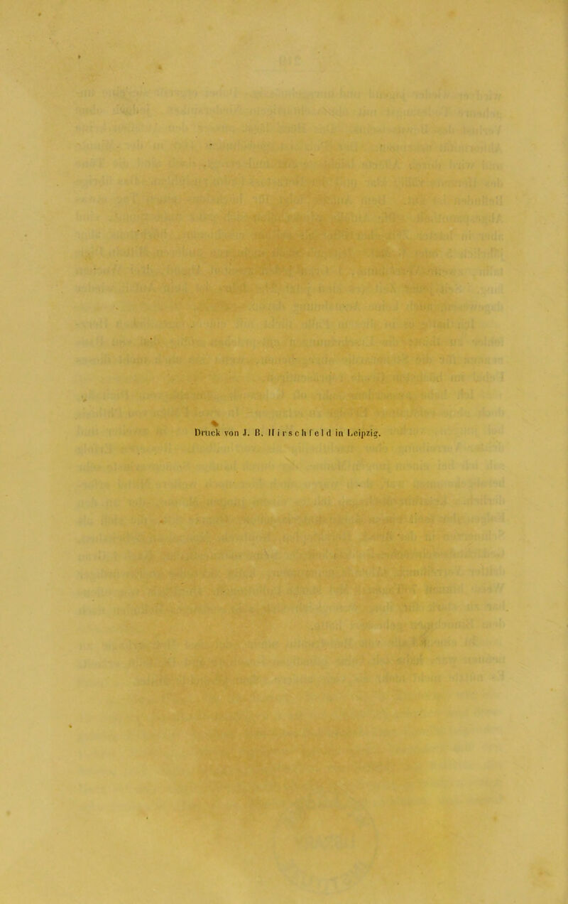 Druck von J. ß. II i rs c li f c I d in Leipzig.