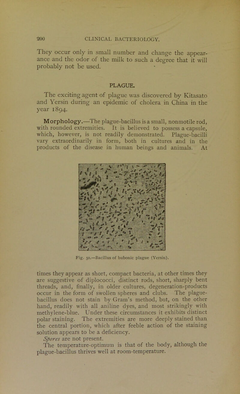 They occur only in small number and change the appear- ance and the odor of the milk to such a degree that it will probably not be used. PLAGUE. The exciting agent of plague was discovered by Kitasato and Yersin during an epidemic of cholera in China in the year 1894. Morphology.—The plague-bacillus is a small, nonmotile rod, with rounded extremities. It is believed to possess a capsule, which, however, is not readily demonstrated. Plague-bacilli vary extraordinarily in form, both in cultures and in the products of the disease in human beings and animals. At ' , ' * % 9*' y v «•' ^ . • r, • f ** .*• fl . g ^ « . * ^ < 4 -.‘V* JA; ‘Vv<& •>,« Fig. 50.—Bacillus of bubonic plague (Yersin). times they appear as short, compact bacteria, at other times they are suggestive of diplococci, distinct rods, short, sharply bent threads, and, finally, in older cultures, degeneration-products occur in the form of swollen spheres and clubs. The plague- bacillus does not stain by Gram’s method, but, on the other hand, readily with all aniline dyes, and most strikingly with methylene-blue. Under these circumstances it exhibits distinct polar staining. The extremities are more deeply stained than the central portion, which after feeble action of the staining solution appears to be a deficiency. Spores are not present. The temperature-optimum is that of the body, although the plague-bacillus thrives well at room-temperature.