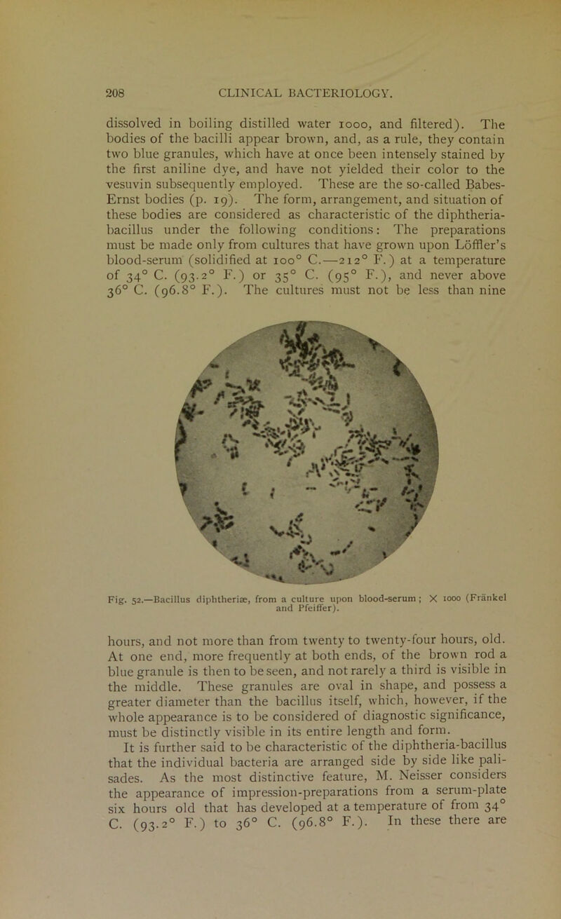 dissolved in boiling distilled water 1000, and filtered). The bodies of the bacilli appear brown, and, as a rule, they contain two blue granules, which have at once been intensely stained by the first aniline dye, and have not yielded their color to the vesuvin subsequently employed. These are the so-called Babes- Ernst bodies (p. 19). The form, arrangement, and situation of these bodies are considered as characteristic of the diphtheria- bacillus under the following conditions: The preparations must be made only from cultures that have grown upon Lofiler’s blood-serum (solidified at ioo° C.—2120 F.) at a temperature of 340 C. (93.20 F.) or 350 C. (95° F.), and never above 36° C. (96.8° F.). The cultures must not be less than nine Fig. 52.—Bacillus diphtheriae, from a culture upon blood-serum ; X i°°° (Fratikel and Pfeiffer). hours, and not more than from twenty to twenty-four hours, old. At one end, more frequently at both ends, of the brown rod a blue granule is then to be seen, and not rarely a third is visible in the middle. These granules are oval in shape, and possess a greater diameter than the bacillus itself, which, however, if the whole appearance is to be considered of diagnostic significance, must be distinctly visible in its entire length and form. It is further said to be characteristic of the diphtheria-bacillus that the individual bacteria are arranged side by side like pali- sades. As the most distinctive feature, M. Neisser considers the appearance of impression-preparations from a serum-plate six hours old that has developed at a temperature of from 340 C. (93.20 F.) to 36° C. (96.8° F.). In these there are