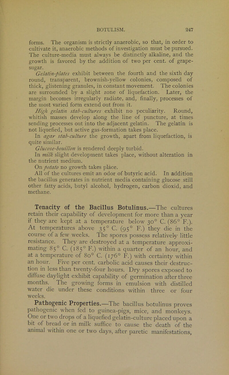 forms. The organism is strictly anaerobic, so that, in order to cultivate it, anaerobic methods of investigation must be pursued. The culture-media must always be distinctly alkaline, and the growth is favored by the addition of two per cent, of grape- sugar. Gelatin-plates exhibit between the fourth and the sixth day round, transparent, brownish-yellow colonies, composed of thick, glistening granules, in constant movement. The colonies are surrounded by a slight zone of liquefaction. Later, the margin becomes irregularly radiate, and, finally, processes of the most varied form extend out from it. High gelatin stab-cultures exhibit no peculiarity. Round, whitish masses develop along the line of puncture, at times sending processes out into the adjacent gelatin. The gelatin is not liquefied, but active gas-formation takes place. In agar stab-culture the growth, apart from liquefaction, is quite similar. Glucose-bouillon is rendered deeply turbid. In milk slight development takes place, without alteration in the nutrient medium. On potato no growth takes place. All of the cultures emit an odor of butyric acid. In addition the bacillus generates in nutrient media containing glucose still other fatty acids, butyl alcohol, hydrogen, carbon dioxid, and methane. Tenacity of the Bacillus Botulinus.—The cultures retain their capability of development for more than a year if they are kept at a temperature below 30° C. (86° F.). At temperatures above 350 C. (950 F.) they die in the course of a few weeks. The spores possess relatively little resistance. They are destroyed at a temperature approxi- mating 85° C. (185° F.) within a quarter of an hour, and at a temperature of 8o° C. (176° F.) with certainty within an hour. Five per cent, carbolic acid causes their destruc- tion in less than twenty-four hours. Dry spores exposed to diffuse daylight exhibit capability of germination after three months. The growing forms in emulsion with distilled water die under these conditions within three or four weeks. Pathogenic Properties.— The bacillus botulinus proves pathogenic when fed to guinea-pigs, mice, and monkeys. One or two drops of a liquefied gelatin-culture placed upon a bit of bread or in milk suffice to cause the death of the animal within one or two days, after paretic manifestations,