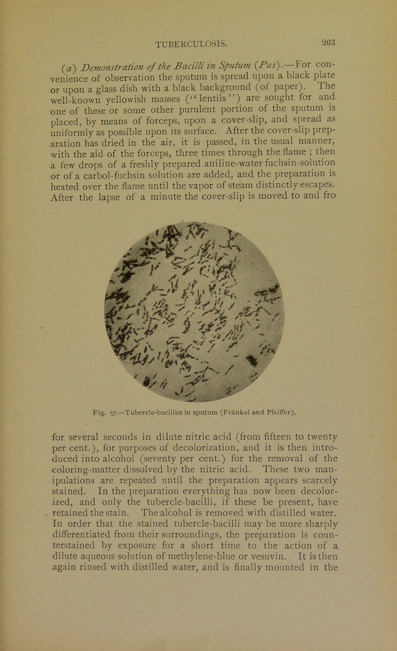 (a) Demonstration of the Bacilli in Sputum (Bus).—For con- venience of observation the sputum is spread upon a black plate or upon a glass dish with a black background (of paper). The well-known yellowish masses (“lentils”) are sought for and one of these or some other purulent portion of the sputum is placed, by means of forceps, upon a cover-slip, and spread as uniformly as possible upon its surface. After the cover-slip prep- aration has dried in the air, it is passed, in the usual manner, with the aid of the forceps, three times through the flame ; then a few drops of a freshly prepared aniline-water fuchsin-solution or of a carbol-fuchsin solution are added, and the preparation is heated over the flame until the vapor of steam distinctly escapes. After the lapse of a minute the cover-slip is moved to and fro Fig- 57-—Tubercle-bacillus in sputum (Frankel and Pfeiffer). for several seconds in dilute nitric acid (from fifteen to twenty per cent.), for purposes of decolorization, and it is then intro- duced into alcohol (seventy per cent.) for the removal of the coloring-matter dissolved by the nitric acid. These two man- ipulations are repeated until the preparation appears scarcely stained. In the preparation everything has now been decolor- ized, and only the tubercle-bacilli, if these be present, have retained the stain. The alcohol is removed with distilled water. In order that the stained tubercle-bacilli may be more sharply differentiated from their surroundings, the preparation is coun- terstained by exposure for a short time to the action of a dilute aqueous solution of methylene-blue or vesuvin. It is then again rinsed with distilled water, and is finally mounted in the