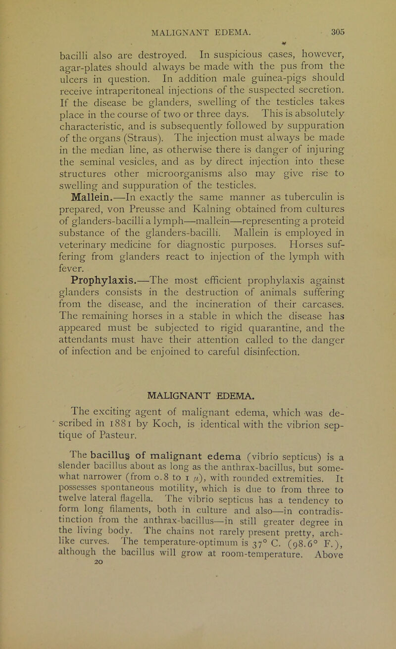 bacilli also are destroyed. In suspicious cases, however, agar-plates should always be made with the pus from the ulcers in question. In addition male guinea-pigs should receive intraperitoneal injections of the suspected secretion. If the disease be glanders, swelling of the testicles takes place in the course of two or three days. This is absolutely characteristic, and is subsequently followed by suppuration of the organs (Straus). The injection must always be made in the median line, as otherwise there is danger of injuring the seminal vesicles, and as by direct injection into these structures other microorganisms also may give rise to swelling and suppuration of the testicles. Mallein.—In exactly the same manner as tuberculin is prepared, von Preusse and Kalning obtained from cultures of glanders-bacilli a lymph—mallein—representing a proteid substance of the glanders-bacilli. Mallein is employed in veterinary medicine for diagnostic purposes. Horses suf- fering from glanders react to injection of the lymph with fever. Prophylaxis.—The most efficient prophylaxis against glanders consists in the destruction of animals suffering from the disease, and the incineration of their carcases. The remaining horses in a stable in which the disease has appeared must be subjected to rigid quarantine, and the attendants must have their attention called to the danger of infection and be enjoined to careful disinfection. MALIGNANT EDEMA. The exciting agent of malignant edema, which was de- scribed in 1881 by Koch, is identical with the vibrion sep- tique of Pasteur. The bacillus of malignant edema (vibrio septicus) is a slender bacillus about as long as the anthrax-bacillus, but some- what narrower (from 0.8 to 1 /j.'), with rounded extremities. It possesses spontaneous motility, which is due to from three to twelve lateral flagella. The vibrio septicus has a tendency to form long filaments, both in culture and also—in contradis- tinction from the anthrax-bacillus—in still greater degree in the living body. The chains not rarely present prettyt arch- like curves. The temperature-optimum is 370 C. (98.6° F.), although the bacillus will grow at room-temperature. Above 20