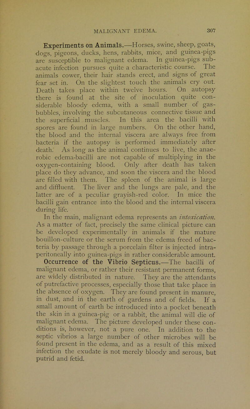 Experiments on Animals.—Horses, swine, sheep, goats, dogs, pigeons, ducks, hens, rabbits, mice, and guinea-pigs are susceptible to malignant edema. In guinea-pigs sub- acute infection pursues quite a characteristic course. The animals cower, their hair stands erect, and signs of great fear set in. On the slightest touch the animals cry out. Death takes place within twelve hours. On autopsy there is found at the site of inoculation quite con- siderable bloody edema, with a small number of gas- bubbles, involving the subcutaneous connective tissue and the superficial muscles. In this area the bacilli with spores are found in large numbers. On the other hand, the blood and the internal viscera are always free from bacteria if the autopsy is performed immediately after death. As long as the animal continues to live, the anae- robic edema-bacilli are not capable of multiplying in the oxygen-containing blood. Only after death has taken place do they advance, and soon the viscera and the blood are filled with them. The spleen of the animal is large and diffluent. The liver and the lungs are pale, and the latter are of a peculiar grayish-red color. In mice the bacilli gain entrance into the blood and the internal viscera during life. In the main, malignant edema represents an intoxication. As a matter of fact, precisely the same clinical picture can be developed experimentally in animals if the mature bouillon-culture or the serum from the edema freed of bac- teria by passage through a porcelain filter is injected intra- peritoneally into guinea-pigs in rather considerable amount. Occurrence of the Vibrio Septicus.—The bacilli of malignant edema, or rather their resistant permanent forms, are widely distributed in nature. They are the attendants of putrefactive processes, especially those that take place in the absence of oxygen. They are found present in manure, in dust, and in the earth of gardens and of fields. If a small amount of earth be introduced into a pocket beneath the skin in a guinea-pig or a rabbit, the animal will die of malignant edema. The picture developed under these con- ditions is, however, not a pure one. In addition to the septic vibrios a large number of other microbes will be found present in the edema, and as a result of this mixed infection the exudate is not merely bloody and serous, but putrid and fetid.