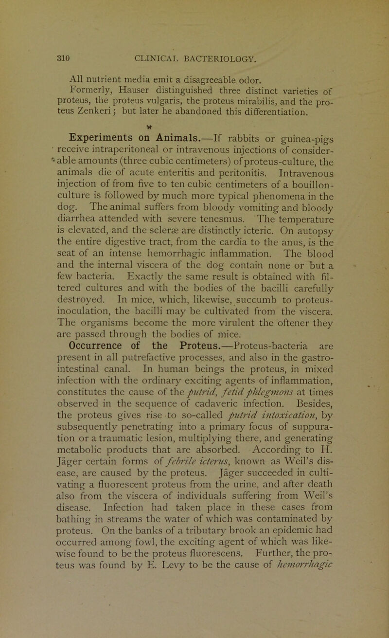 All nutrient media emit a disagreeable odor. Formerly, Hauser distinguished three distinct varieties of proteus, the proteus vulgaris, the proteus mirabilis, and the pro- teus Zenkeri; but later he abandoned this differentiation. Experiments on Animals.—If rabbits or guinea-pigs receive intraperitoneal or intravenous injections of consider- •* able amounts (three cubic centimeters) of proteus-culture, the animals die of acute enteritis and peritonitis. Intravenous injection of from five to ten cubic centimeters of a bouillon- culture is followed by much more typical phenomena in the dog. The animal suffers from bloody vomiting and bloody diarrhea attended with severe tenesmus. The temperature is elevated, and the sclerae are distinctly icteric. On autopsy the entire digestive tract, from the cardia to the anus, is the seat of an intense hemorrhagic inflammation. The blood and the internal viscera of the dog contain none or but a few bacteria. Exactly the same result is obtained with fil- tered cultures and with the bodies of the bacilli carefully destroyed. In mice, which, likewise, succumb to proteus- inoculation, the bacilli may be cultivated from the viscera. The organisms become the more virulent the oftener they are passed through the bodies of mice. Occurrence of the Proteus.—Proteus-bacteria are present in all putrefactive processes, and also in the gastro- intestinal canal. In human beings the proteus, in mixed infection with the ordinary exciting agents of inflammation, constitutes the cause of the putrid, fetid phlegmons at times observed in the sequence of cadaveric infection. Besides, the proteus gives rise to so-called putrid intoxication, by subsequently penetrating into a primary focus of suppura- tion or a traumatic lesion, multiplying there, and generating metabolic products that are absorbed. According to H. Jager certain forms of febrile icterus, known as Weil’s dis- ease, are caused by the proteus. Jager succeeded in culti- vating a fluorescent proteus from the urine, and after death also from the viscera of individuals suffering from Weil’s disease. Infection had taken place in these cases from bathing in streams the water of which was contaminated by proteus. On the banks of a tributary brook an epidemic had occurred among fowl, the exciting agent of which was like- wise found to be the proteus fluorescens. Further, the pro- teus was found by E. Levy to be the cause of hemorrhagic