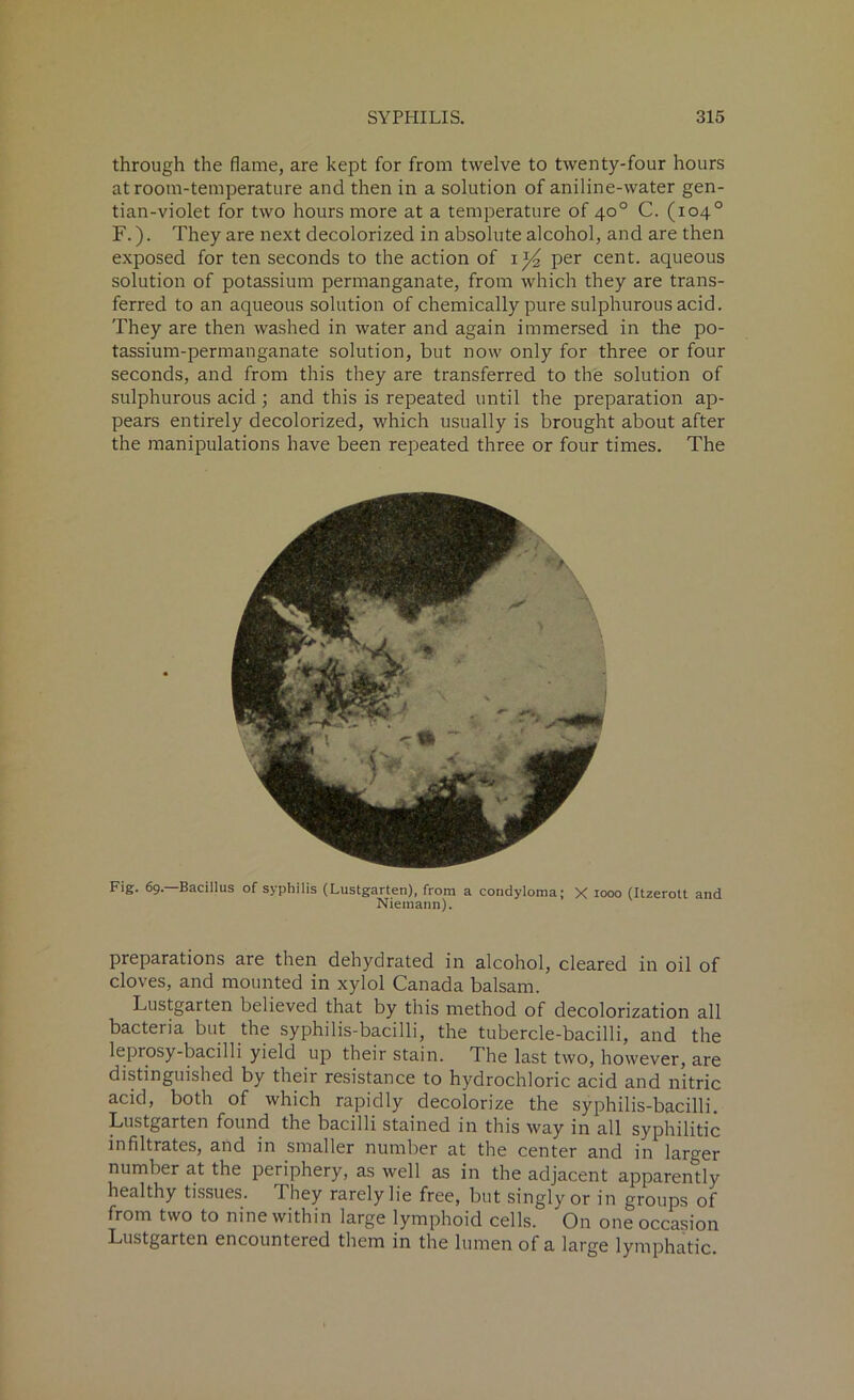 through the flame, are kept for from twelve to twenty-four hours at room-temperature and then in a solution of aniline-water gen- tian-violet for two hours more at a temperature of 40° C. (104° F.). They are next decolorized in absolute alcohol, and are then exposed for ten seconds to the action of 1^ per cent, aqueous solution of potassium permanganate, from which they are trans- ferred to an aqueous solution of chemically pure sulphurous acid. They are then washed in water and again immersed in the po- tassium-permanganate solution, but now only for three or four seconds, and from this they are transferred to the solution of sulphurous acid; and this is repeated until the preparation ap- pears entirely decolorized, which usually is brought about after the manipulations have been repeated three or four times. The Fig. 69.—Bacillus of syphilis (Lustgarten), from a condyloma; X 1000 (Itzerott and Niemann). preparations are then dehydrated in alcohol, cleared in oil of cloves, and mounted in xylol Canada balsam. Lustgarten believed that by this method of decolorization all bacteria but the syphilis-bacilli, the tubercle-bacilli, and the leprosy-bacilli yield up their stain. The last two, however, are distinguished by their resistance to hydrochloric acid and nitric acid, both of which rapidly decolorize the syphilis-bacilli. Lustgarten found the bacilli stained in this way in all syphilitic infiltrates, and in smaller number at the center and in larger number at the periphery, as well as in the adjacent apparently healthy tissues. They rarely lie free, but singly or in groups of from two to nine within large lymphoid cells. On one occasion Lustgarten encountered them in the lumen of a large lymphatic.