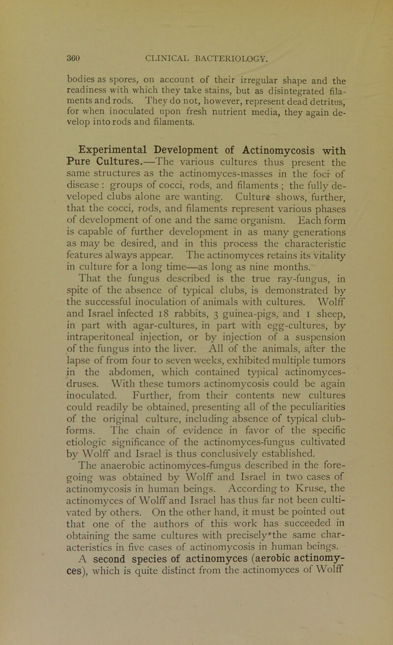 bodies as spores, on account of their irregular shape and the readiness with which they take stains, but as disintegrated fila- ments and rods. They do not, however, represent dead detritus, for when inoculated upon fresh nutrient media, they again de- velop into rods and filaments. Experimental Development of Actinomycosis with Pure Cultures.—The various cultures thus present the same structures as the actinomyces-masses in the foci of disease : groups of cocci, rods, and filaments ; the fully de- veloped clubs alone are wanting. Culture shows, further, that the cocci, rods, and filaments represent various phases of development of one and the same organism. Each form is capable of further development in as many generations as may be desired, and in this process the characteristic features always appear. The actinomyces retains its vitality in culture for a long time—as long as nine months. That the fungus described is the true ray-fungus, in spite of the absence of typical clubs, is demonstrated by the successful inoculation of animals with cultures. Wolff and Israel infected 18 rabbits, 3 guinea-pigs, and 1 sheep, in part with agar-cultures, in part with egg-cultures, by intraperitoneal injection, or by injection of a suspension of the fungus into the liver. All of the animals, after the lapse of from four to seven weeks, exhibited multiple tumors in the abdomen, which contained typical actinomyces- druses. With these tumors actinomycosis could be again inoculated. Further, from their contents new cultures could readily be obtained, presenting all of the peculiarities of the original culture, including absence of typical club- forms. The chain of evidence in favor of the specific etiologic significance of the actinomyces-fungus cultivated by Wolff and Israel is thus conclusively established. The anaerobic actinomyces-fungus described in the fore- going was obtained by Wolff and Israel in two cases of actinomycosis in human beings. According to Kruse, the actinomyces of Wolff and Israel has thus far not been culti- vated by others. On the other hand, it must be pointed out that one of the authors of this work has succeeded in obtaining the same cultures with precisely'the same char- acteristics in five cases of actinomycosis in human beings. A second species of actinomyces (aerobic actinomy- ces), which is quite distinct from the actinomyces of Wolff