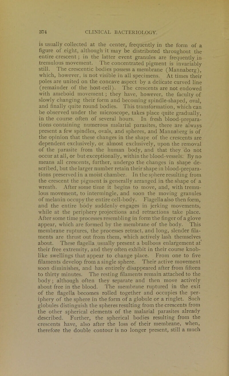 is usually collected at the center, frequently in the form of a figure of eight, although it may be distributed throughout the entire crescent; in the latter event granules are frequently in tremulous movement. The concentrated pigment is invariably still. The crescentic bodies possess a membrane (Mannaberg), which, however, is not visible in all specimens. At times their poles are united on the concave aspect by a delicate curved line (remainder of the host-cell). The crescents are not endowed with ameboid movement ; they have, however, the faculty of slowly changing their form and becoming spindle-shaped, oval, and finally quite round bodies. This transformation, which can be observed under the microscope, takes place quite gradually, in the course often of several hours. In fresh blood-prepara- tions containing numerous malarial parasites, there are always present a few spindles, ovals, and spheres, and Mannaberg is of the opinion that these changes in the shape of the crescents are dependent exclusively, or almost exclusively, upon the removal of the parasite from the human body, and that they do not occur at all, or but exceptionally, within the blood-vessels. By no means all crescents, further, undergo the changes in shape de- scribed, but the larger number retain their shape in blood-prepara- tions preserved in a moist chamber. In the sphere resulting from the crescent the pigment is generally arranged in the shape of a wreath. After some time it begins to move, and, with tremu- lous movement, to intermingle, and soon the moving granules of melanin occupy the entire cell-body. Flagella also then form, and the entire body suddenly engages in jerking movements, while at the periphery projections and retractions take place. After some time processes resembling in form the finger of a glove appear, which are formed by the membrane of the body. This membrane ruptures, the processes retract, and long, slender fila- ments are thrust out from them, which actively lash themselves about. These flagella usually present a bulbous enlargement at their free extremity, and they often exhibit in their course knob- like swellings that appear to change place. From one to five filaments develop from a single sphere. Their active movement soon diminishes, and has entirely disappeared after from fifteen to thirty minutes. The resting filaments remain attached to the body; although often they separate and then move actively about free in the blood. The membrane ruptured in the exit of the flagella becomes rolled together and occupies the per- iphery of the sphere in the form of a globule or a ringlet. Such globules distinguish the spheres resulting from the crescents from the other spherical elements of the malarial parasites already described. Further, the spherical bodies resulting from the crescents have, also after the loss of their membrane, when, therefore the double contour is no longer present, still a much