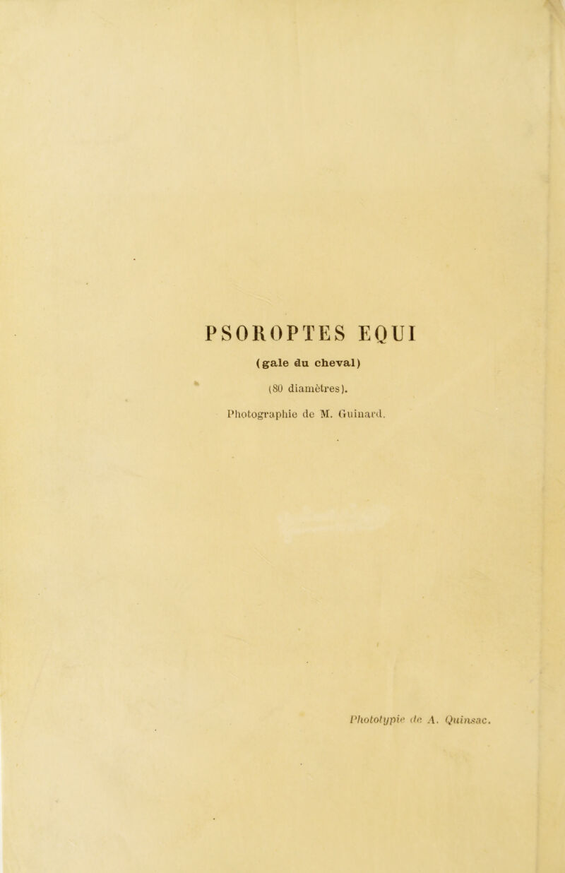 PSOROPTES EQUI (gale du cheval) (80 diamètres). Photographie de M. Guinard. Phototypie do. A. Quinsac.