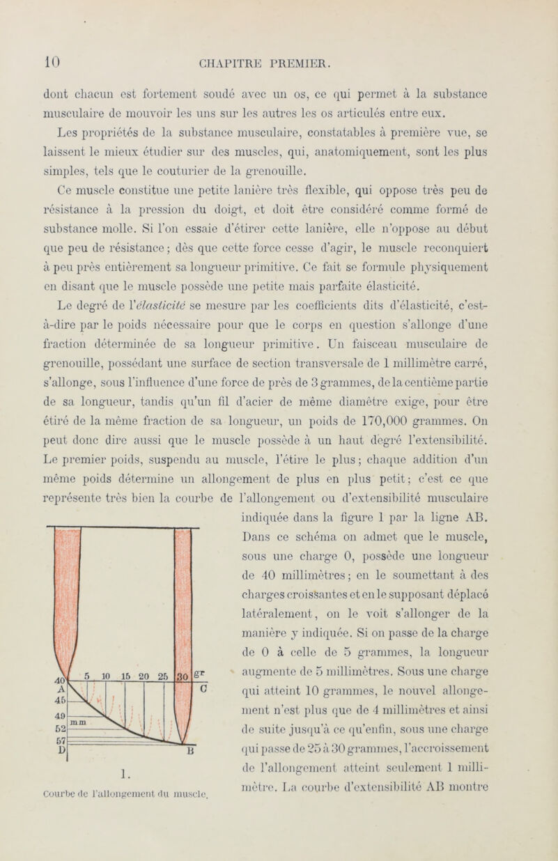 dont chacun est fortement soudé avec un os, ce qui permet à la substance musculaire de mouvoir les uns sur les autres les os articulés entre eux. Les propriétés do la substance musculaire, constatables à première vue, se laissent le mieux étudier sur des muscles, qui, anatomiquement, sont les plus simples, tels que le couturier de la grenouille. Ce muscle constitue une petite lanière très flexible, qui oppose très peu de résistance à la pression du doigt, et doit être considéré comme formé de substance molle. Si l’on essaie d’étirer cette lanière, elle n’oppose au début que peu de résistance ; dès que cette force cesse d’agir, le muscle reconquiert à peu près entièrement sa longueur primitive. Ce fait se formule physiquement en disant que le muscle possède une petite mais parfaite élasticité. Le degré de l'élasticité se mesure par les coefficients dits d’élasticité, c’est- à-dire par le poids nécessaire pour que le corps en question s’allonge d’une fraction déterminée de sa longueur primitive. Un faisceau musculaire de grenouille, possédant une surface de section transversale de 1 millimètre carré, s’allonge, sous l’influence d’une force de près de 3 grammes, de la centième partie de sa longueur, tandis qu’un fil d’acier de même diamètre exige, pour être étiré de la même fraction de sa longueur, un poids de 170,000 grammes. On peut donc dire aussi que le muscle possède à un haut degré l’extensibilité. Le premier poids, suspendu au muscle, l’étire le plus ; chaque addition d’un même poids détermine un allongement de plus en plus petit; c’est ce que représente très bien la courbe de l’allongement ou d’extensibilité musculaire indiquée dans la figure 1 par la ligne AB. Dans ce schéma on admet que le muscle, sous une charge 0, possède une longueur de 40 millimètres ; en le soumettant à des charges croissantes et en le supposant déplacé latéralement, on le voit s’allonger de la manière y indiquée. Si on passe de la charge de 0 à celle de 5 grammes, la longueur augmente de 5 millimètres. Sous une charge qui atteint 10 grammes, le nouvel allonge- ment n’est plus que de 4 millimètres et ainsi de suite jusqu’à ce qu’enfin, sous une charge qui passe de 25 à 30 grammes, l’accroissement de l’allongement atteint seulement 1 milli- . . , mètre. La courbe d’extensibilité AB montre Courbe de rallongement du muscle.