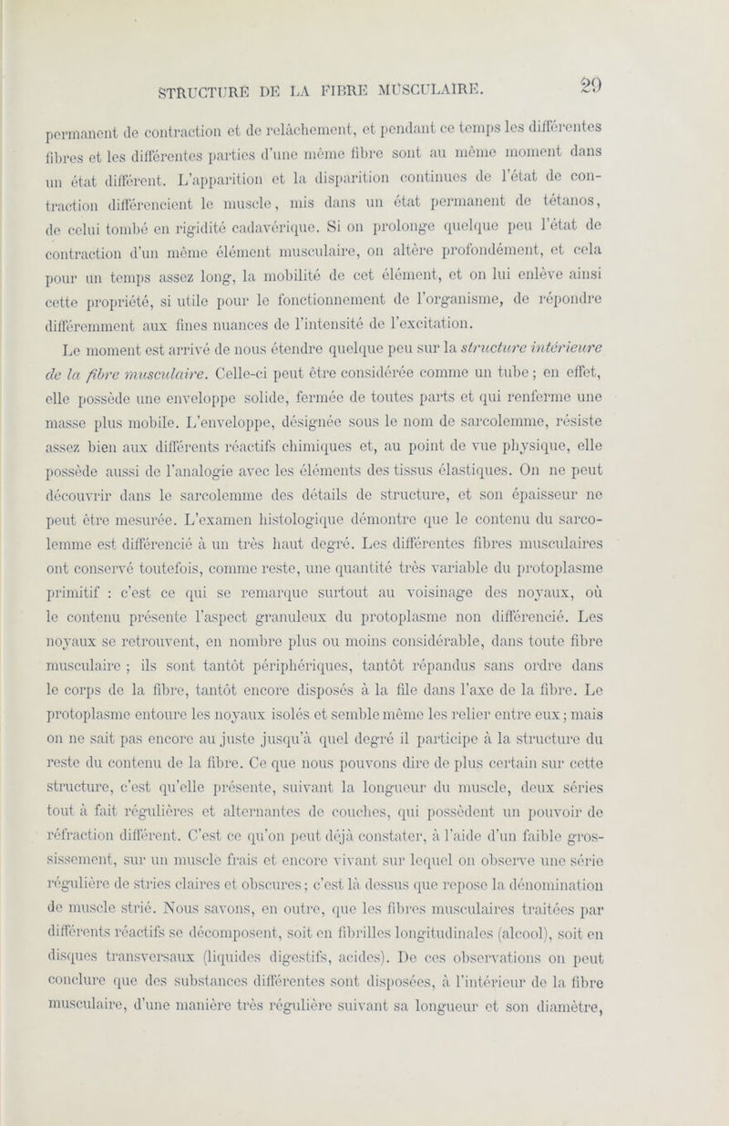 STRUCTURE DE LA ElBRE MUSCULAIRE. permanent de contraction et de relâchement, et pendant ce temps les différentes fibres et les différentes parties d’une même fibre sont au même moment dans un état différent. L’apparition et la disparition continues de l’état de con- traction différencient le muscle, mis dans un état permanent de tétanos, de celui tombé en rigidité cadavérique. Si on prolonge quelque peu l’état de contraction d’un même élément musculaire, on altère profondément, et cela pour un temps assez long, la mobilité de cet élément, et on lui enlève ainsi cette propriété, si utile pour le fonctionnement de l’organisme, de répondre différemment aux fines nuances do l’intensité de l’excitation. Le moment est arrivé de nous étendre quelque peu sur la structure intérieure de la fibre musculaire. Celle-ci peut être considérée comme un tube ; en effet, elle possède une enveloppe solide, fermée de toutes parts et qui renferme une masse plus mobile. L’enveloppe, désignée sous le nom de sarcolemme, résiste assez bien aux différents réactifs chimiques et, au point de vue physique, elle possède aussi de l’analogie avec les éléments des tissus élastiques. On 11e peut découvrir dans le sarcolemme des détails de structure, et son épaisseur 11e peut être mesurée. L’examen histologique démontre que le contenu du sarco- lemme est différencié à un très haut degré. Les différentes fibres musculaires ont conservé toutefois, comme reste, une quantité très variable du protoplasme primitif : c’est ce qui se remarque surtout au voisinage des noyaux, où le contenu présente l’aspect granuleux du protoplasme non différencié. Les noyaux se retrouvent, en nombre plus ou moins considérable, dans toute fibre musculaire ; ils sont tantôt périphériques, tantôt répandus sans ordre dans le corps de la fibre, tantôt encore disposés à la file dans l’axe de la fibre. Le protoplasme entoure les noyaux isolés et semble même les relier entre eux ; mais on ne sait pas encore au juste jusqu’à quel degré il participe à la structure du reste du contenu de la fibre. Ce que nous pouvons dire de plus certain sur cette structure, c’est qu’elle présente, suivant la longueur du muscle, deux séries tout à fait régulières et alternantes de couches, qui possèdent un pouvoir de réfraction différent. C’est ce qu’on peut déjà constater, à l’aide d’un faible gros- sissement, sur un muscle frais et encore vivant sur lequel on observe une série régulière de stries claires et obscures ; c’est là dessus que repose la dénomination de muscle strié. Nous savons, en outre, que les fibres musculaires traitées par différents réactifs se décomposent, soit en fibrilles longitudinales (alcool), soit en disques transversaux (liquides digestifs, acides). Do ces observations on peut conclure que des substances différentes sont disposées, à l’intérieur de la fibre musculaire, d’une manière très régulière suivant sa longueur et son diamètre,