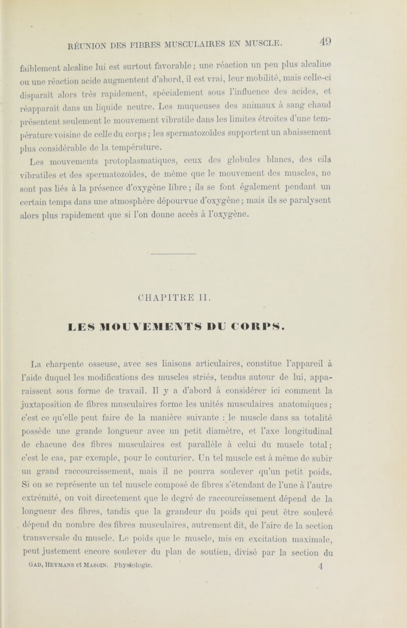 RÉUNION DES FIBRES MUSCULAIRES EN MUSCLE. faiblement alcaline lui est surtout favorable ; une réaction un peu plus alcaline ou une réaction acide augmentent d abord, il est vrai, leur mobilité, mais < clle-c i disparaît alors très rapidement, spécialement sous l’influence des acides, et réapparaît dans un liquide neutre. Les muqueuses des animaux à sang- chaud présentent seulement le mouvement vibratile dans les limites étroites d’une tem- pérature voisine de celle du corps ; les spermatozoïdes supportent un abaissement plus considérable de la température. Les mouvements protoplasmatiqu.es, ceux des globules blancs, des cils vibratiles et des spermatozoïdes, de même que le mouvement des muscles, ne sont pas liés à la présence d’oxygène libre ; ils se font également pendant un certain temps dans une atmosphère dépourvue d’oxvgène ; mais ils se paralysent alors plus rapidement que si l’on donne accès à l’oxygène. CHAPITRE II. LES MOUVEMENTS DE CORPS. La charpente osseuse, avec ses liaisons articulaires, constitue l’appareil à l’aide duquel les modifications des muscles striés, tendus autour de lui, appa- raissent sous forme de travail. Il y a d’abord à considérer ici comment la juxtaposition de fibres musculaires forme les unités musculaires anatomiques ; c’est ce qu’elle peut faire de la manière suivante : le muscle dans sa totalité possède une grande longueur avec un petit diamètre, et l’axe longitudinal de chacune des fibres musculaires est parallèle à celui du muscle total ; c’est le cas, par exemple, pour le couturier. Un tel muscle est à même de subir un grand raccourcissement, mais il ne pourra soulever qu’un petit poids. Si on se représente un tel muscle composé de fibres s’étendant de l’une à l’autre extrémité, on voit directement que le degré de raccourcissement dépend de la longueur des fibres, tandis que la grandeur du poids qui peut être soulevé dépend du nombre des fibres musculaires, autrement dit, de l’aire de la section transversale du muscle. Le poids que le muscle, mis en excitation maximale, peut justement encore soulever du plan de soutien, divisé par la section du Gad, Heymans et Masoin. Physiologie. 4