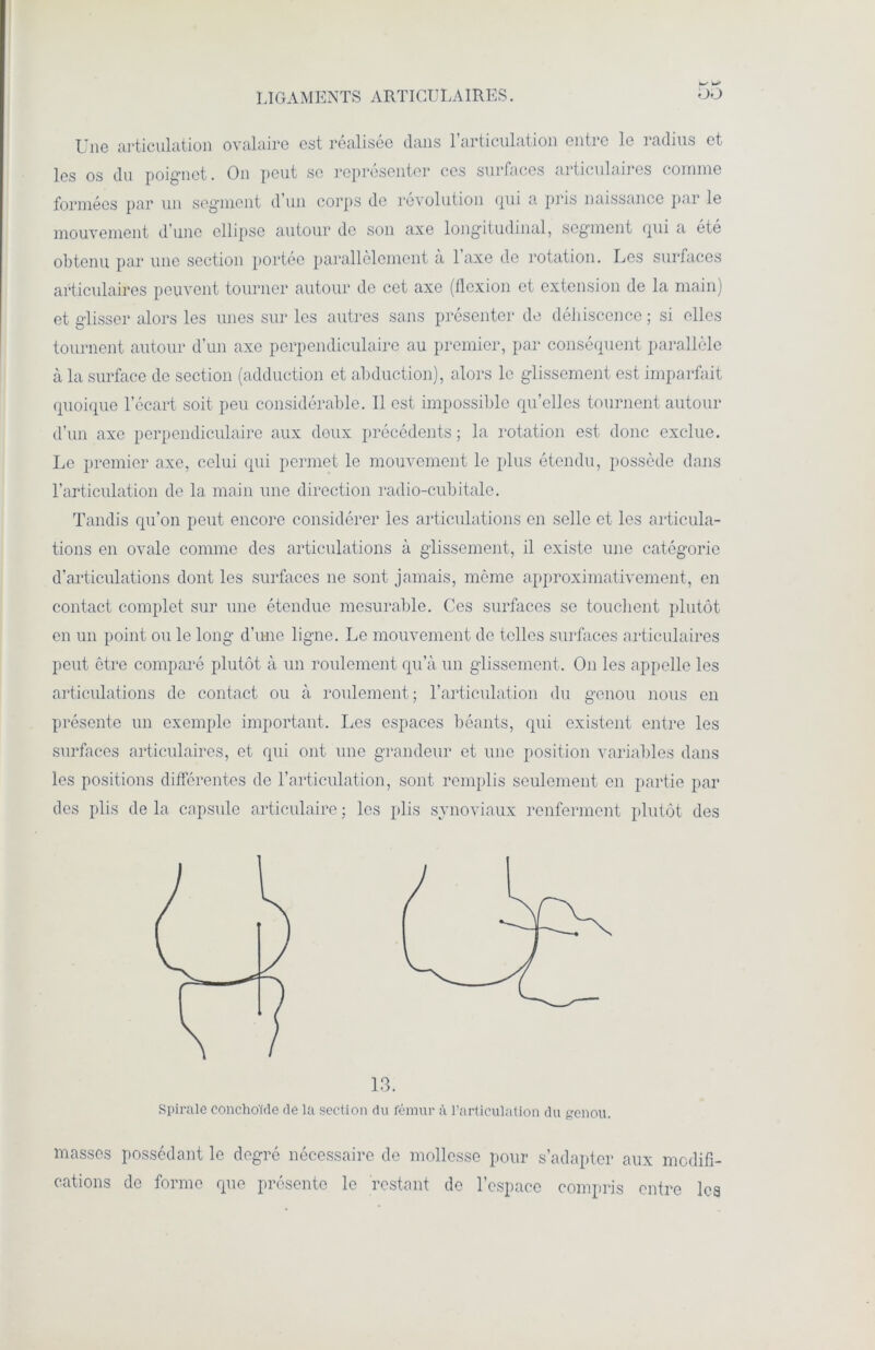 LIGAMENTS ARTICULA IRES. ’hJ Une articulation ovalaire est realisee dans 1 articulation entre le radius et les os du poignet. On peut se représenter ces surfaces articulaires comme formées par un segment d un corps de révolution gui a pris naissance par le mouvement d'une ellipse autour de son axe longitudinal, segment gui a été obtenu par une section portée parallèlement à l'axe de rotation. Les surfaces articulaires peuvent tourner autour do cet axe (flexion et extension de la main) et glisser alors les unes sur les autres sans présenter de déhiscence; si elles tournent autour d’un axe perpendiculaire au premier, par conséquent parallèle à la surface de section (adduction et abduction), alors le glissement est imparfait quoique l’écart soit peu considérable. Il est impossible quelles tournent autour d’un axe perpendiculaire aux doux précédents; la rotation est donc exclue. Le premier axe, celui qui permet le mouvement le plus étendu, possède dans l’articulation de la main une direction radio-cubitale. Tandis qu’on peut encore considérer les articulations en selle et les articula- tions en ovale comme des articulations à glissement, il existe une catégorie d’articulations dont les surfaces ne sont jamais, même approximativement, en contact complet sur une étendue mesurable. Ces surfaces se touchent plutôt en un point ou le long d’une ligne. Le mouvement de telles surfaces articulaires peut être comparé plutôt à un roulement qu’à un glissement. On les appelle les articulations de contact ou à roulement; l’articulation du genou nous en présente un exemple important. Les espaces béants, qui existent entre les surfaces articulaires, et qui ont une grandeur et une position variables dans les positions différentes de l’articulation, sont remplis seulement en partie par des plis de la capsule articulaire ; les plis synoviaux renferment plutôt des 13. Spirale conchoïde de la section du fémur à l’articulation du genou. masses possédant le degré nécessaire de mollesse pour s’adapter aux modifi- cations de forme que présente le restant de l’espace compris entre les